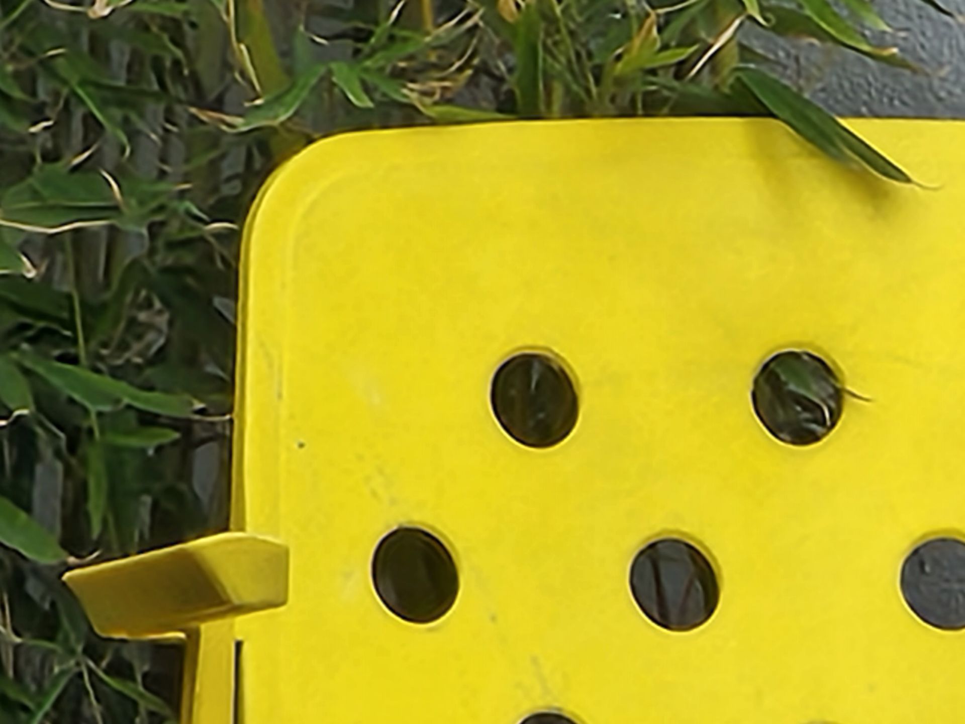 عکس با زوم ۱۰ برابری