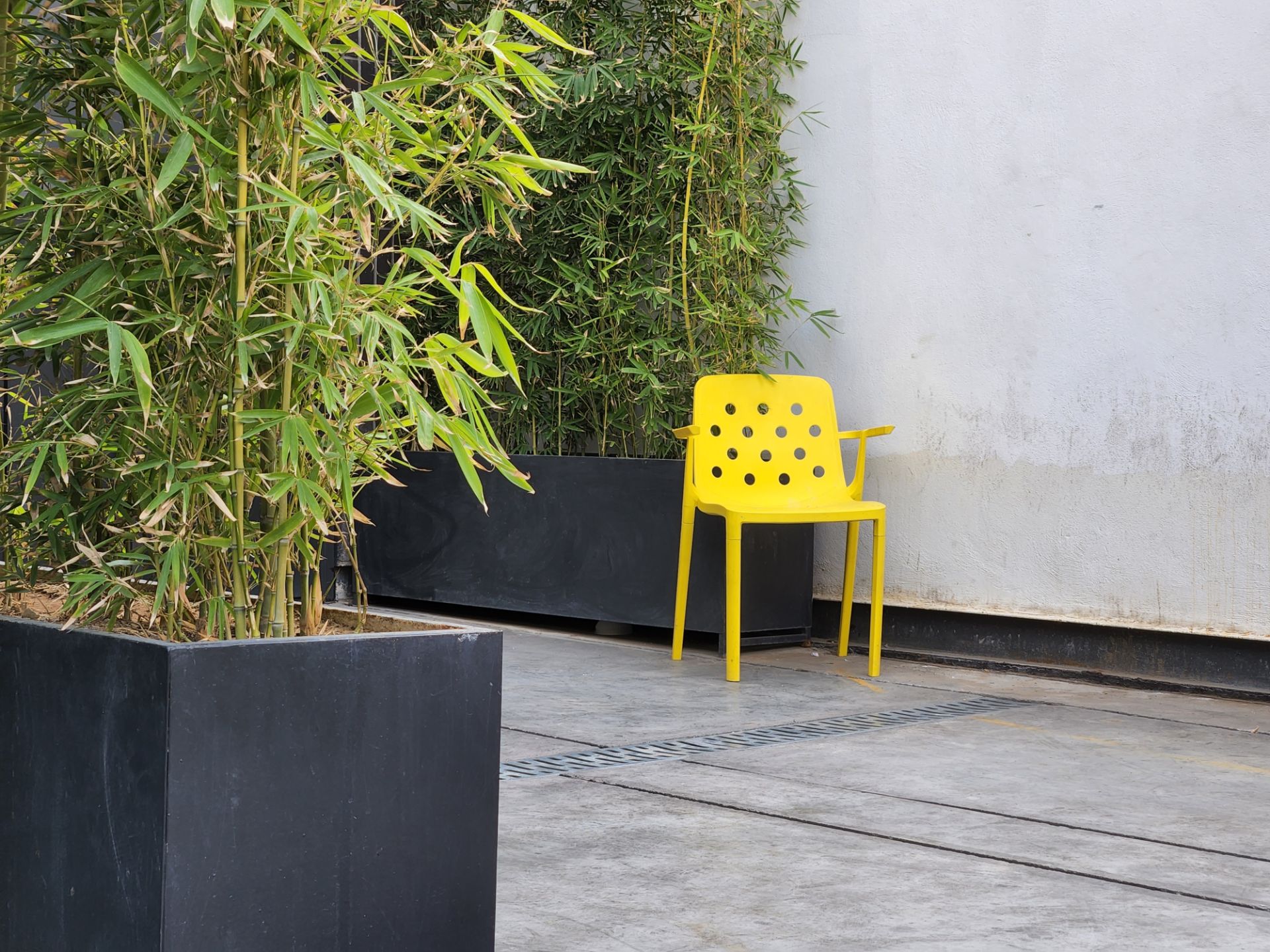 عکس دوربین تله فوتو