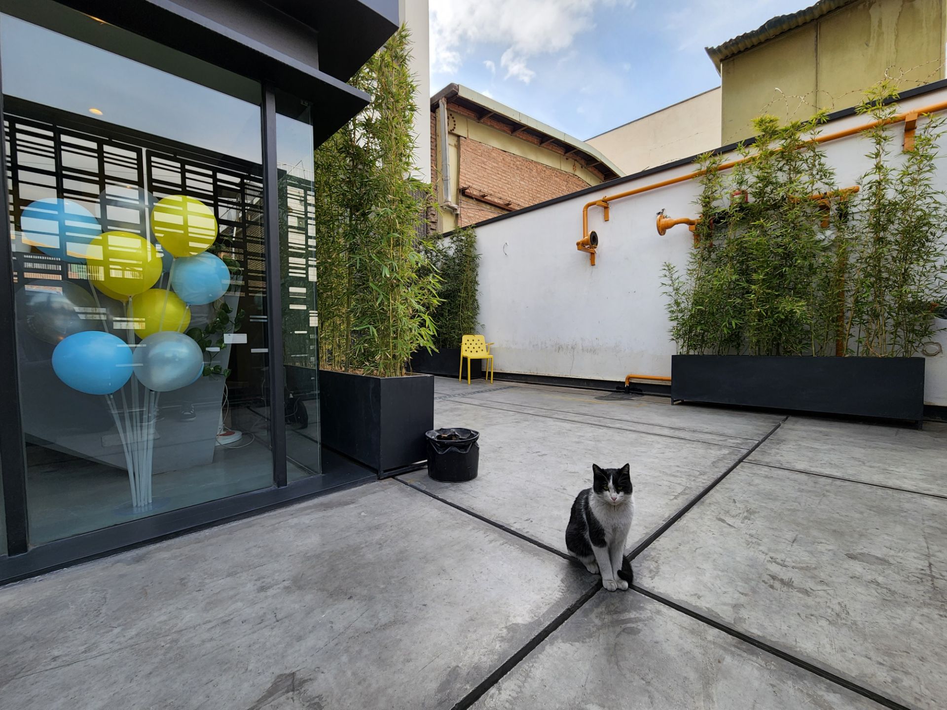 عکس دوربین اولتراواید