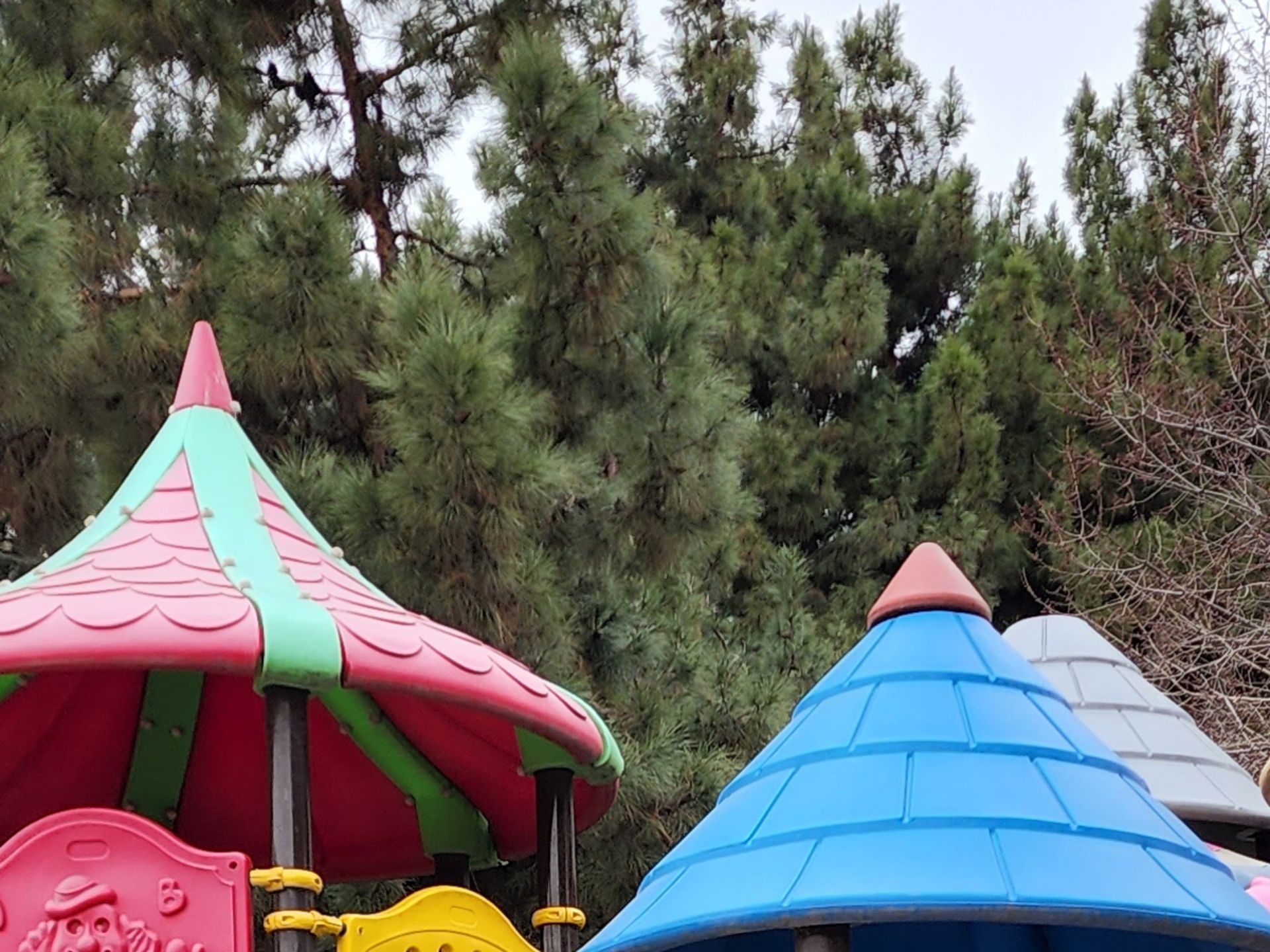 کراپ جزئیات دوربین واید گلکسی اس ۲۲ اولترا