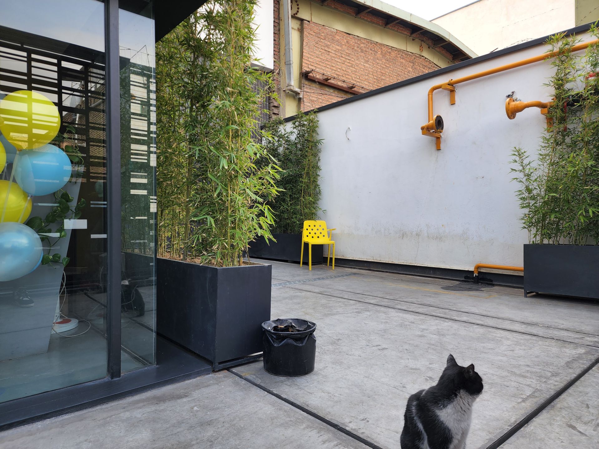 عکس دوربین اصلی