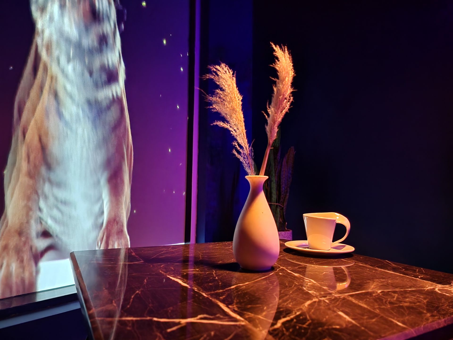 عکس نایت مد با دوربین اصلی