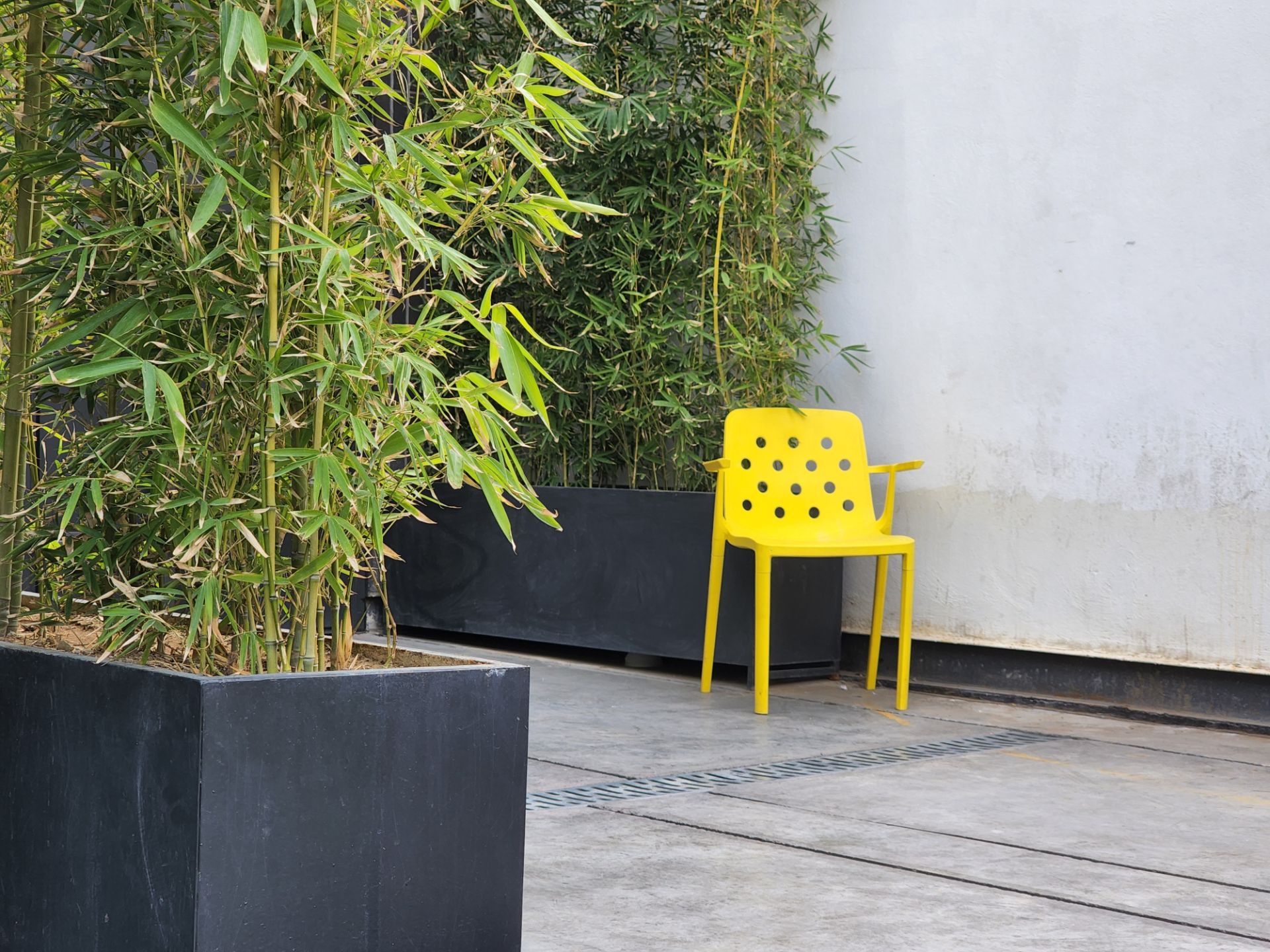 زوم سه برابری دوربین تله فوتو