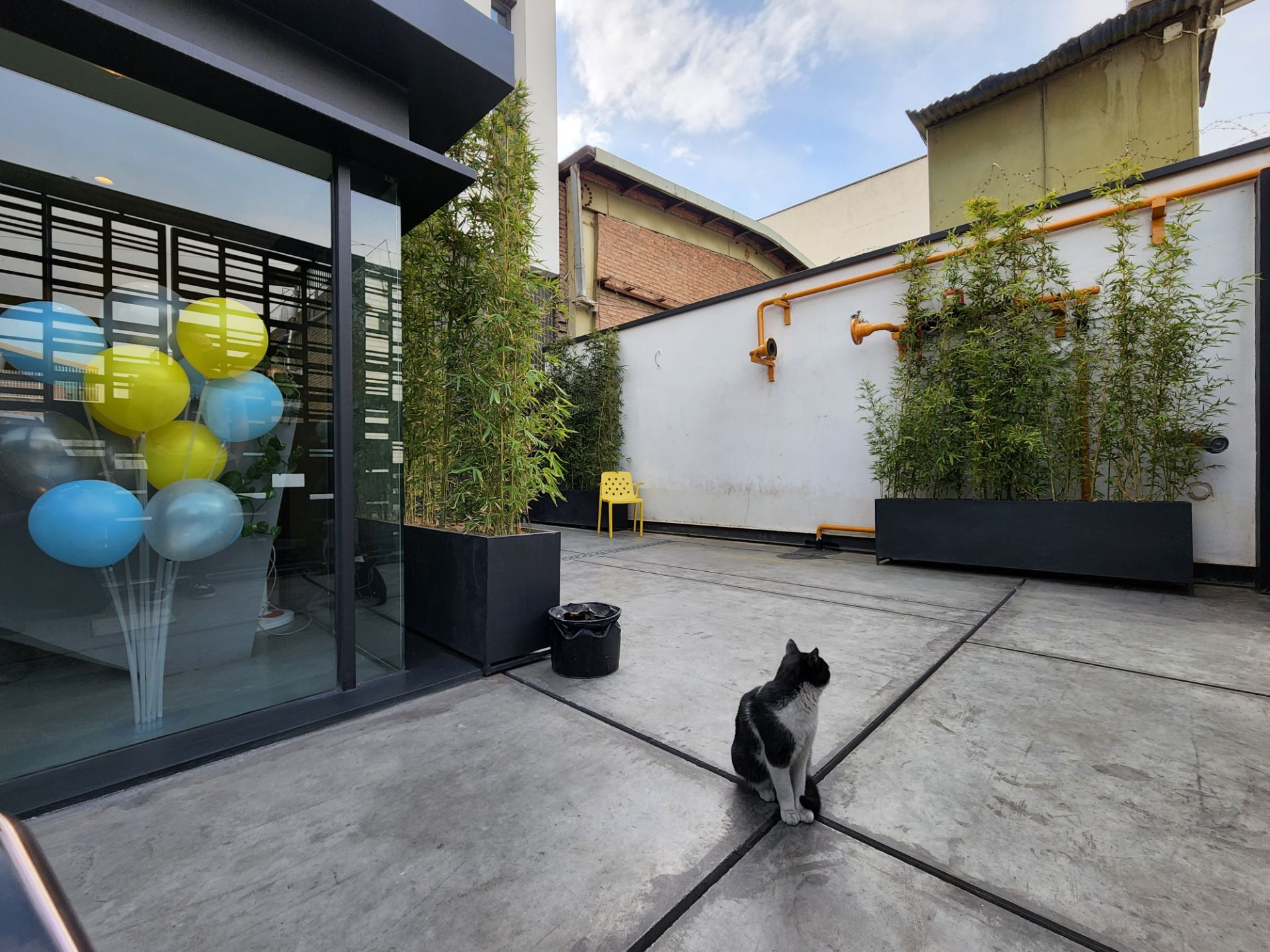 عکس دوربین اولتراواید