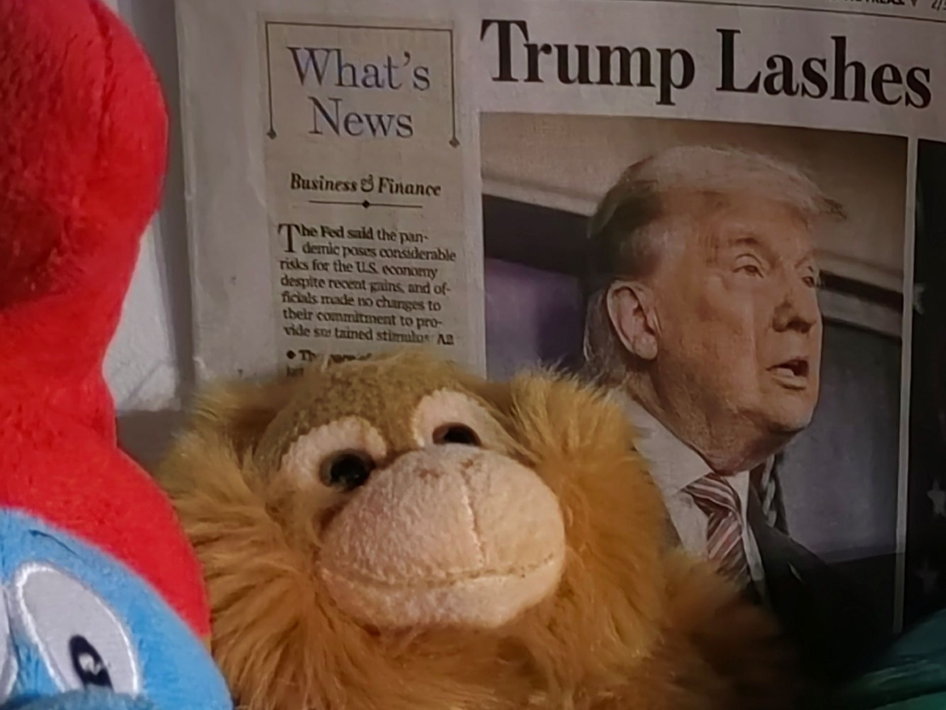 کراپ عکس دوربین اصلی نوا ۹ در تاریکی