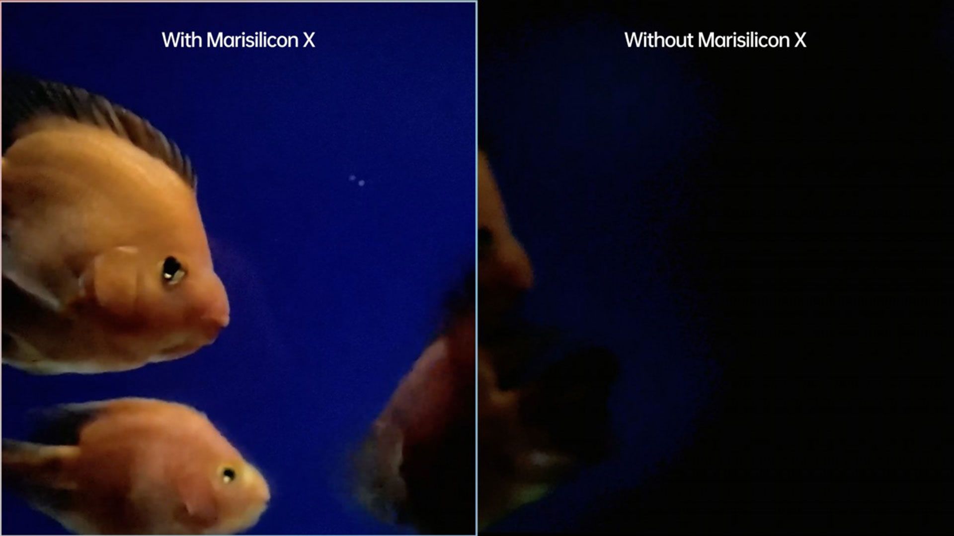 مزیت ویژگی مزیت 4K Ultra Night Video در Find X pro