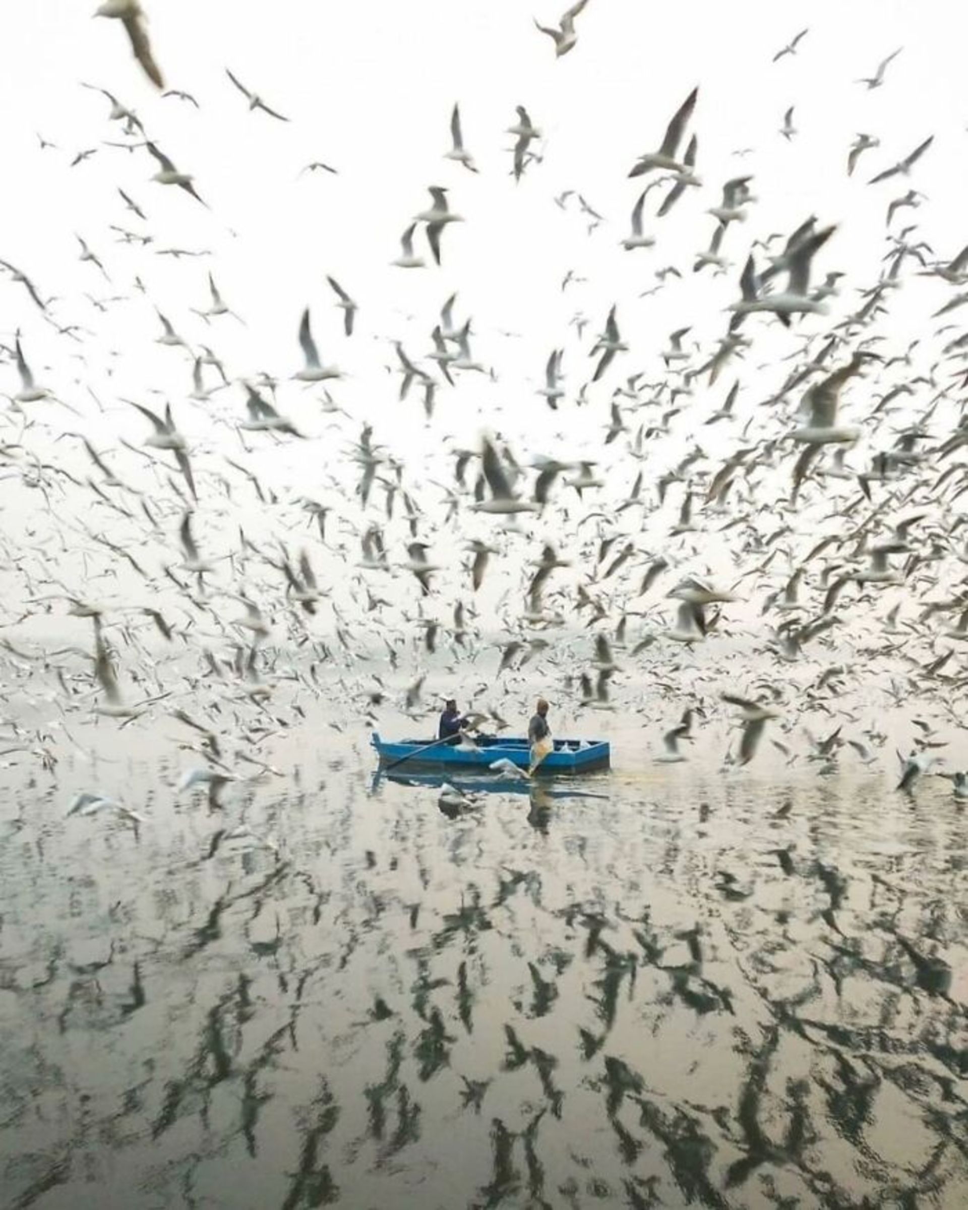 بنیاد عکاسان خیابانی