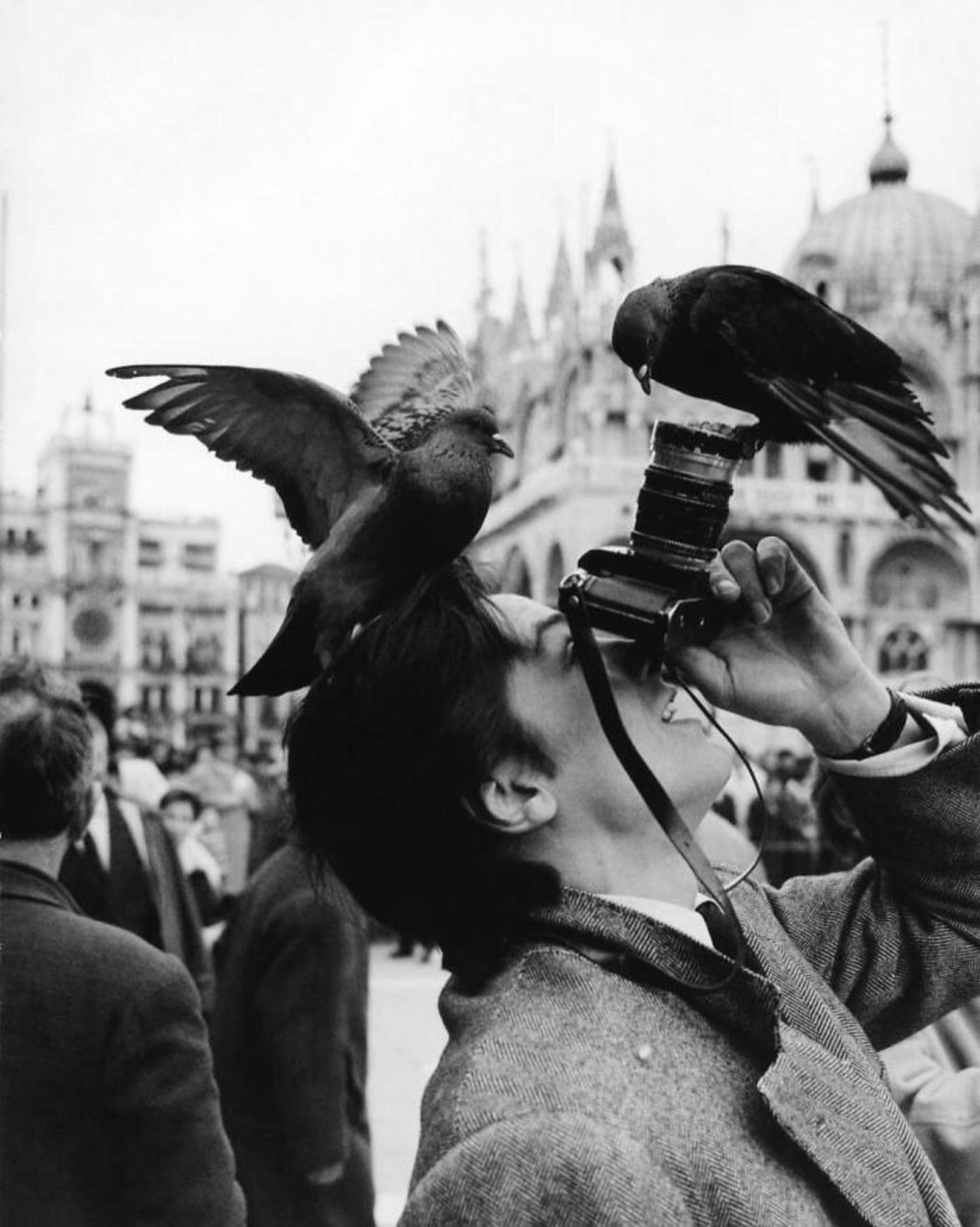 بنیاد عکاسان خیابانی