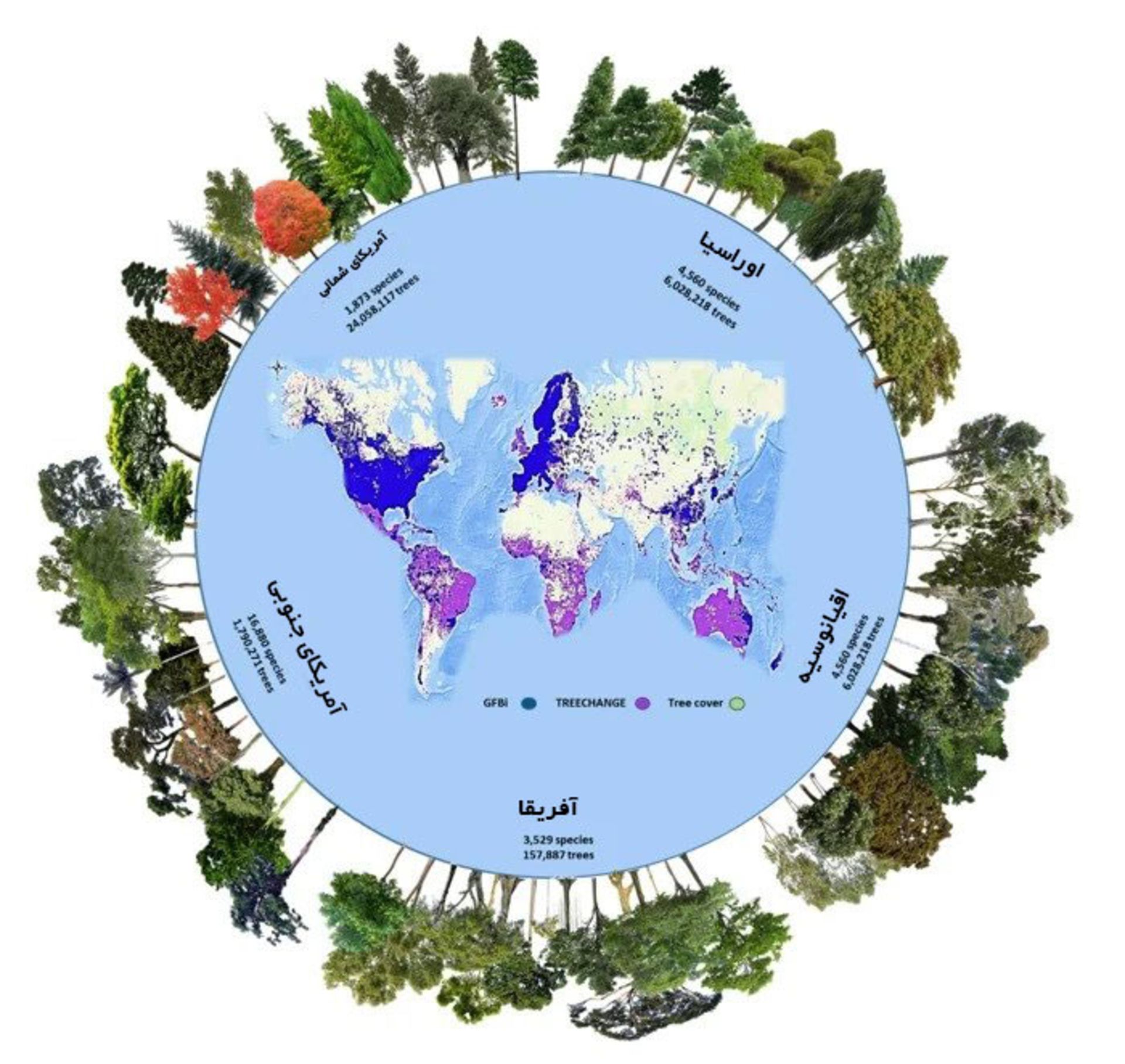 پایگاه داده درخت‌های جهان