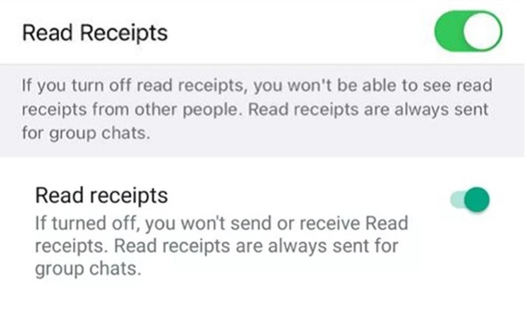تنظیمات حریم خصوصی Read receipts در واتساپ