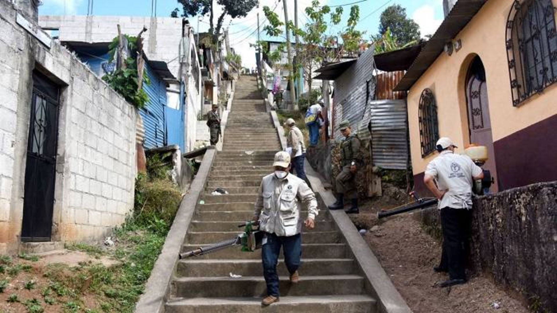 مبارزه با شیوع زیکا / zika