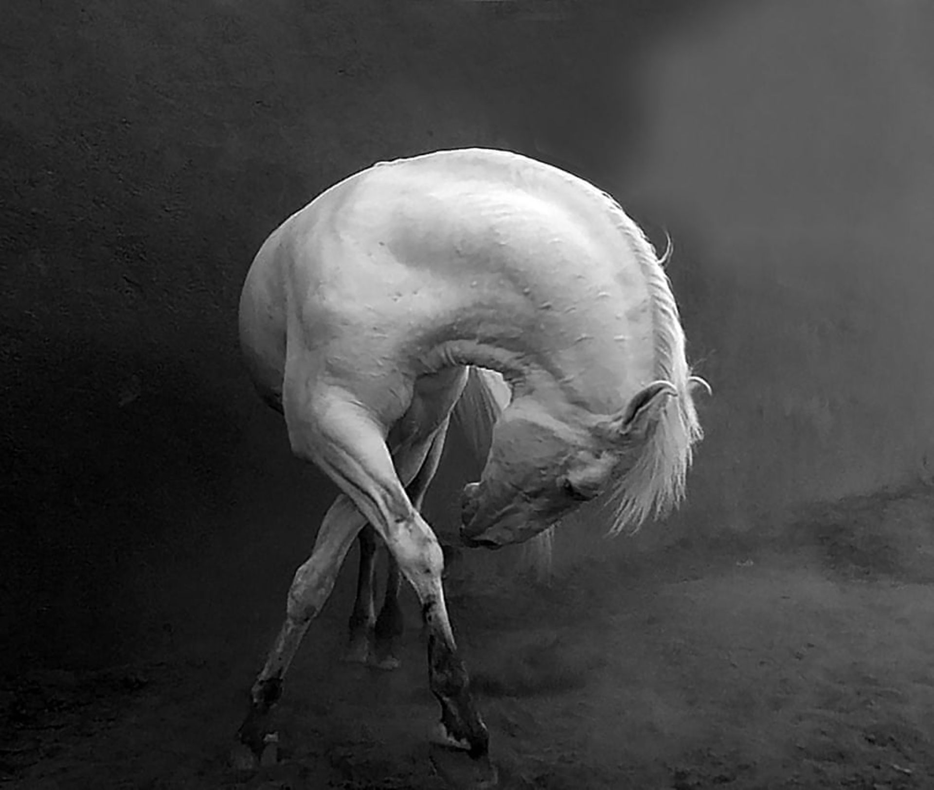 برندگان مسابقه عکاسی جهانی سونی ۲۰۲۲