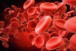 چرا گروه‌های خونی متفاوتی داریم؟