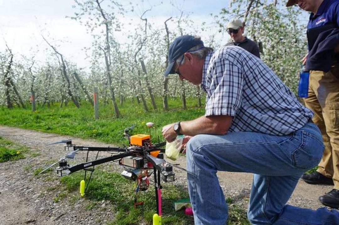 پهپاد برای گرده افشانی گیاهان / drone