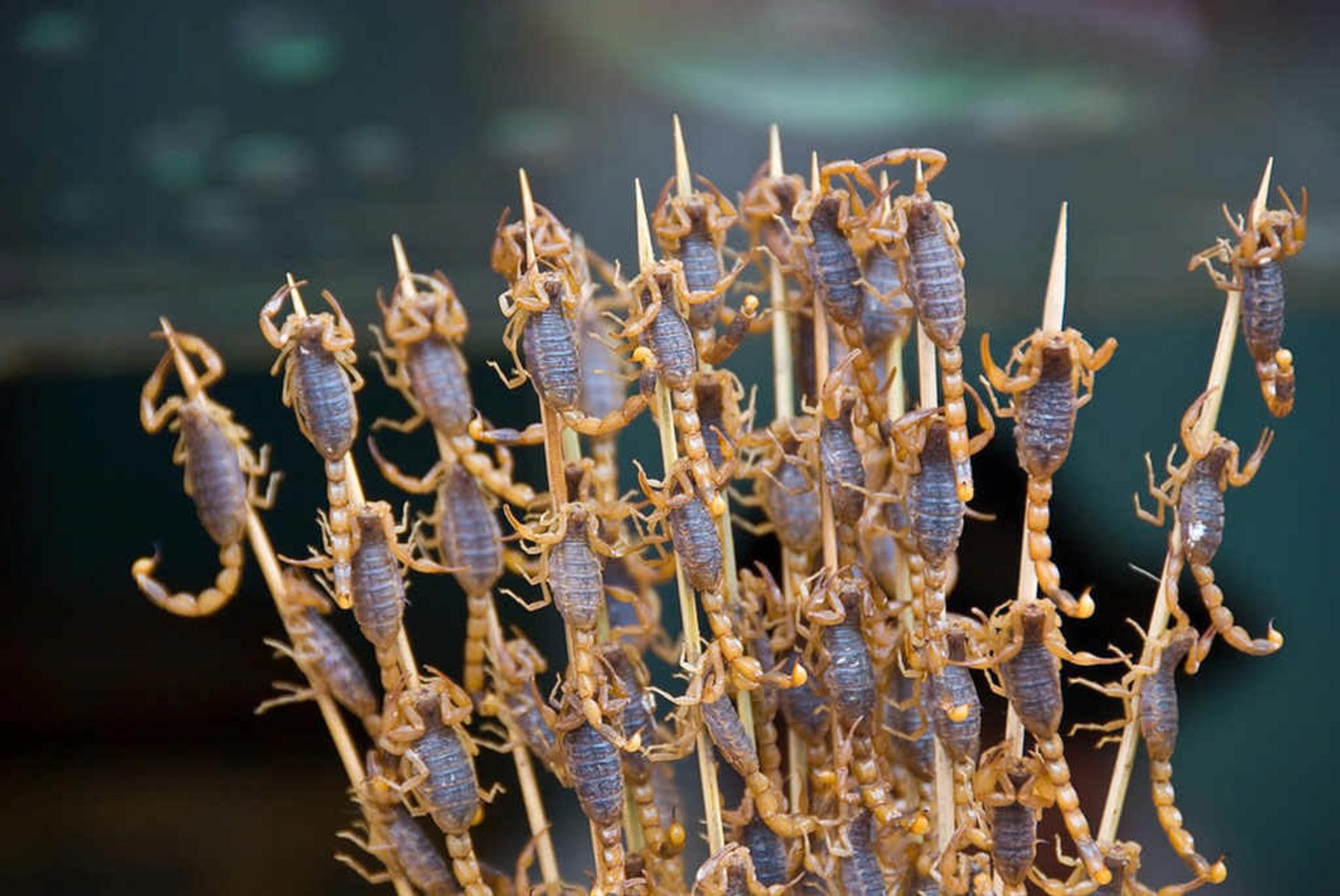 عقرب گریل‌شده آماده سرو در رستورانی در پکن، چین 