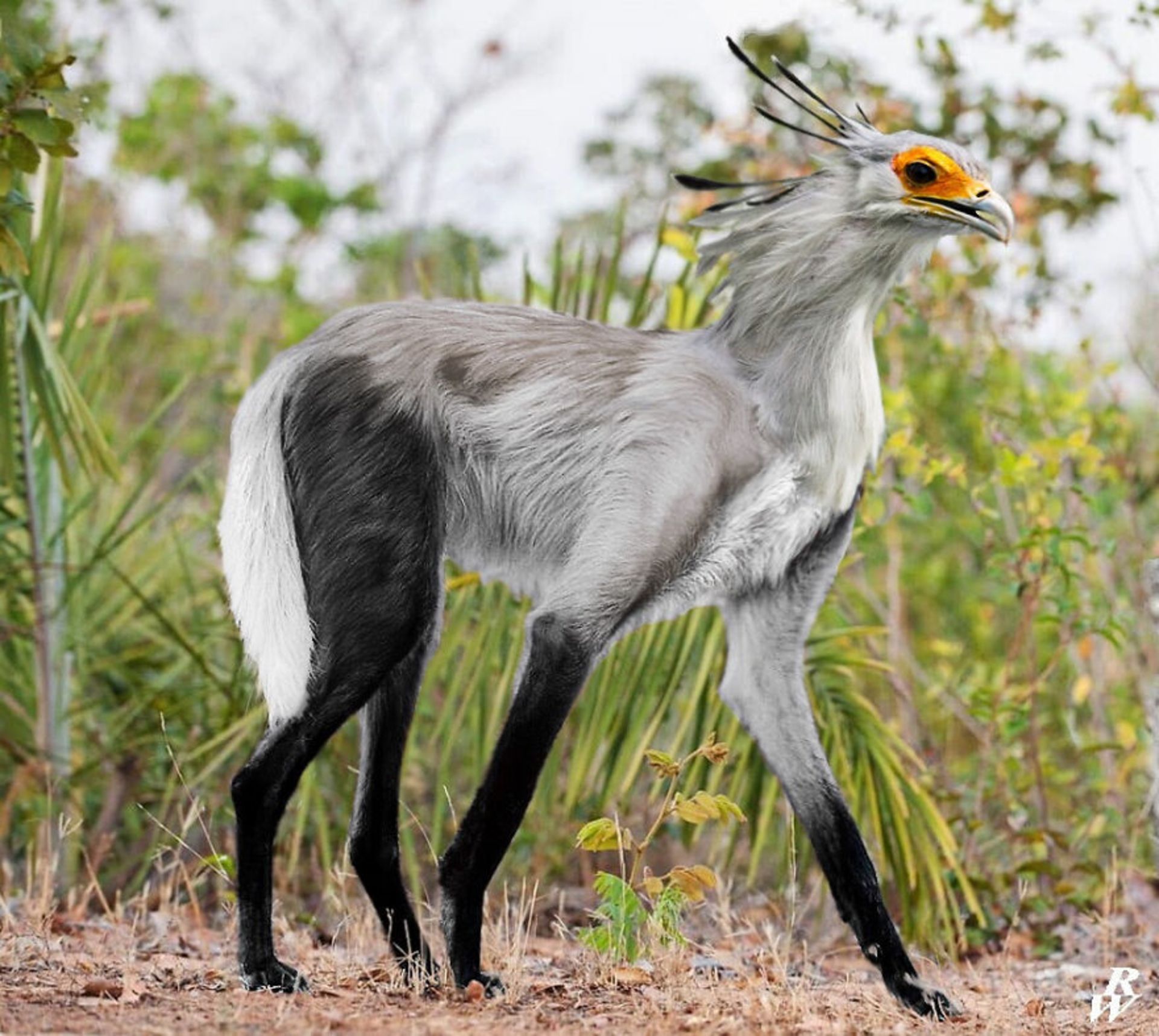 حیوانات هیبریدی