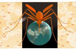 آیا برای پیشگیری از گسترش مالاریا باید همه پشه‌های جهان را بکشیم؟
