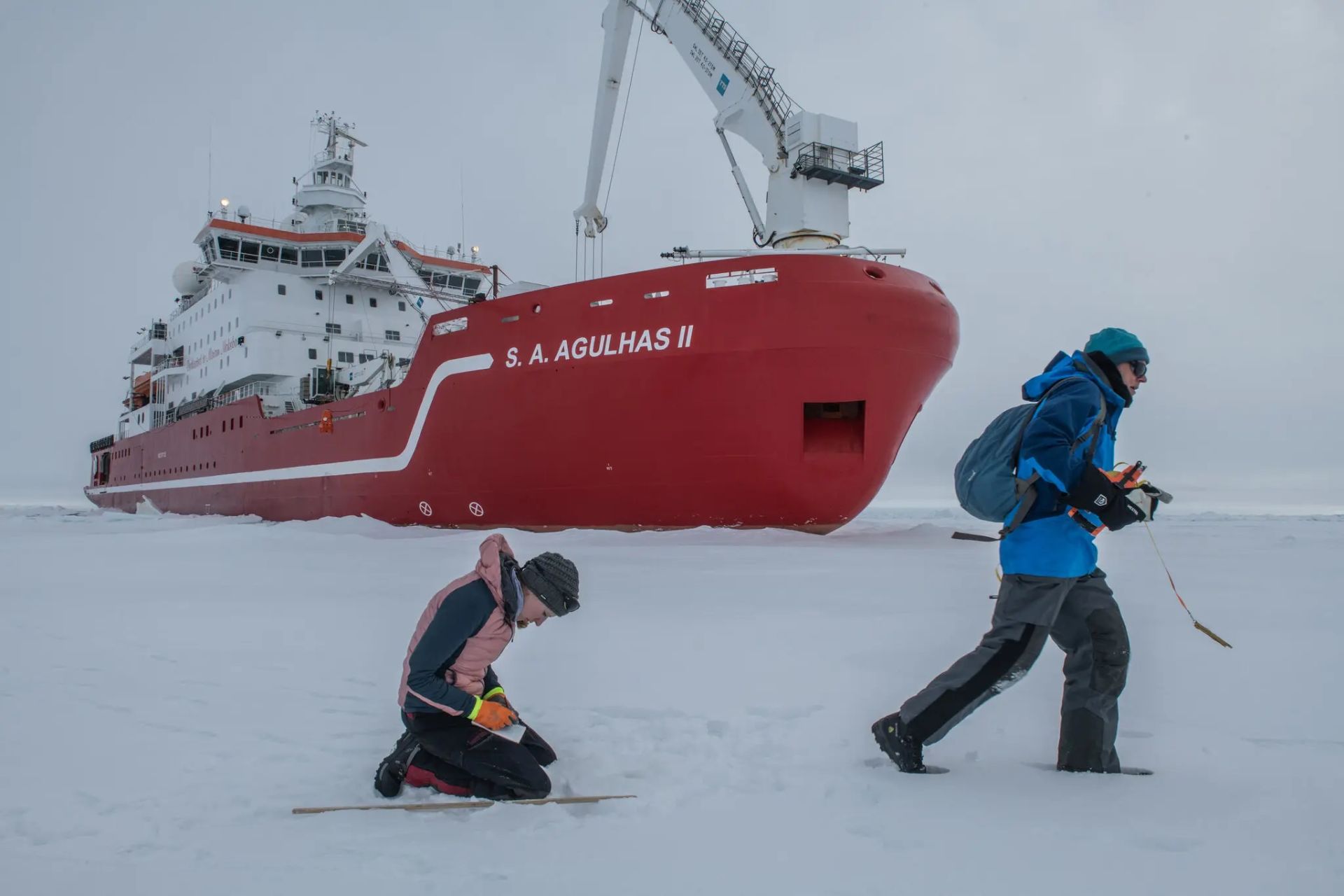 متخصصان یخ دریایی درمقابل کشتی یخ شکن آگولاس ۲