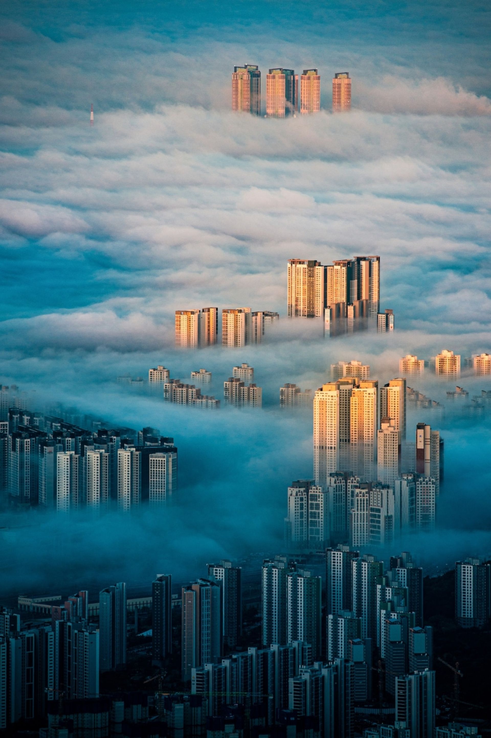 برندگان مسابقه عکاسی جهانی سونی ۲۰۲۲