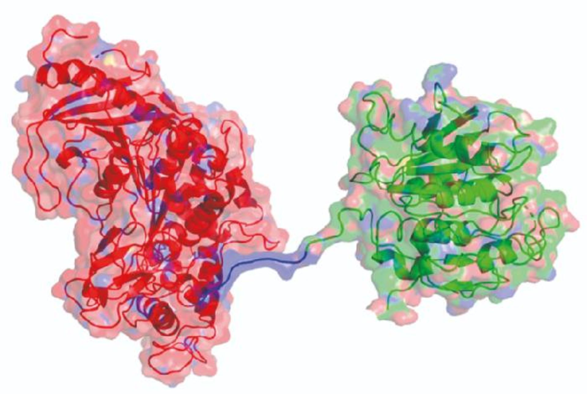 آنزیم ترکیبی پلاستیک خوار / super enzyme
