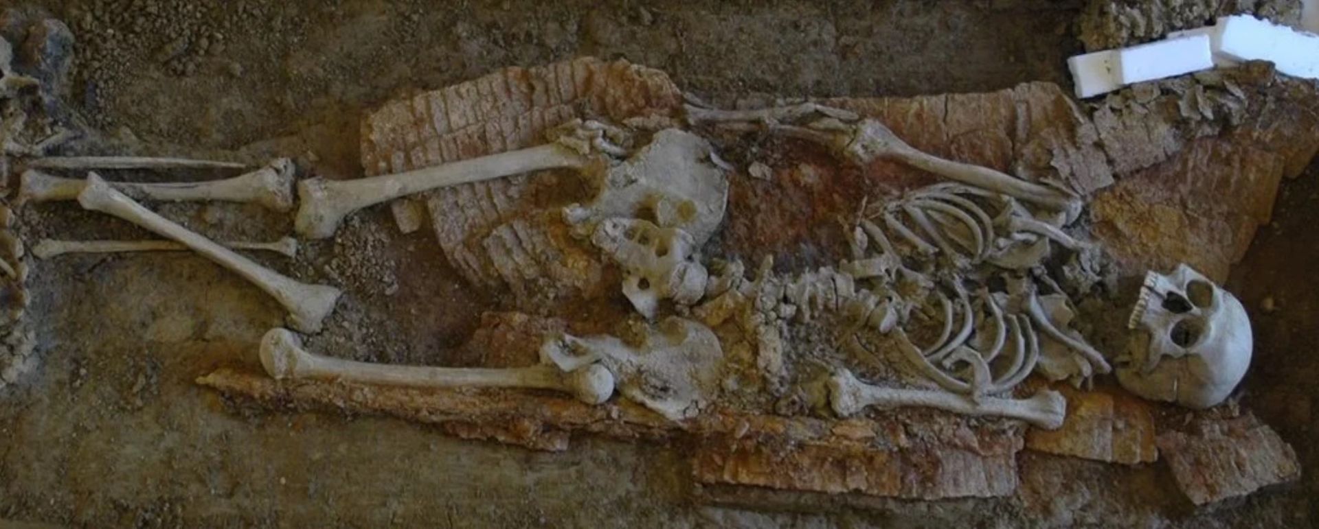 بقایای تاریخی اسکلت انسان