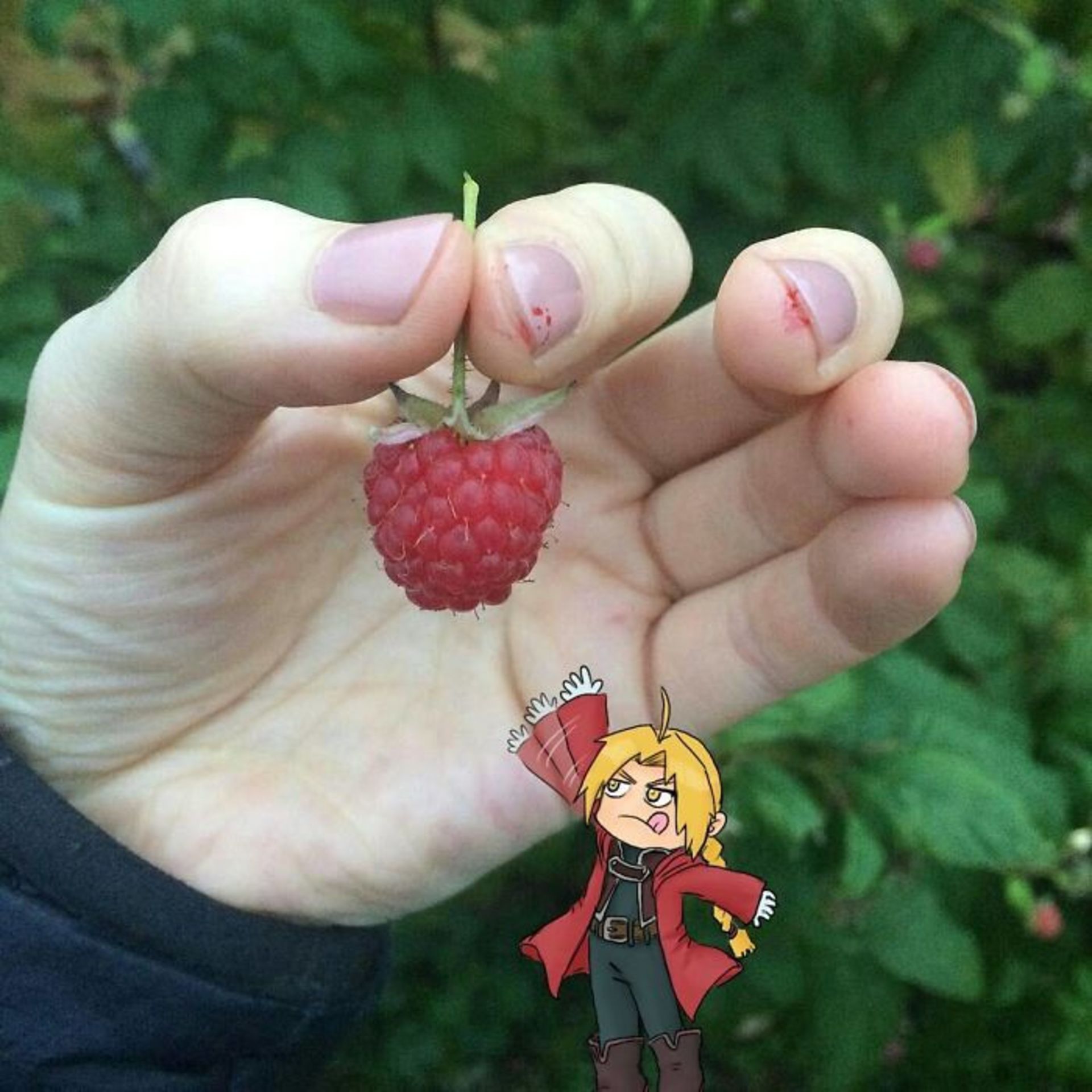 تصویرسازی روی عکس‌های واقعی