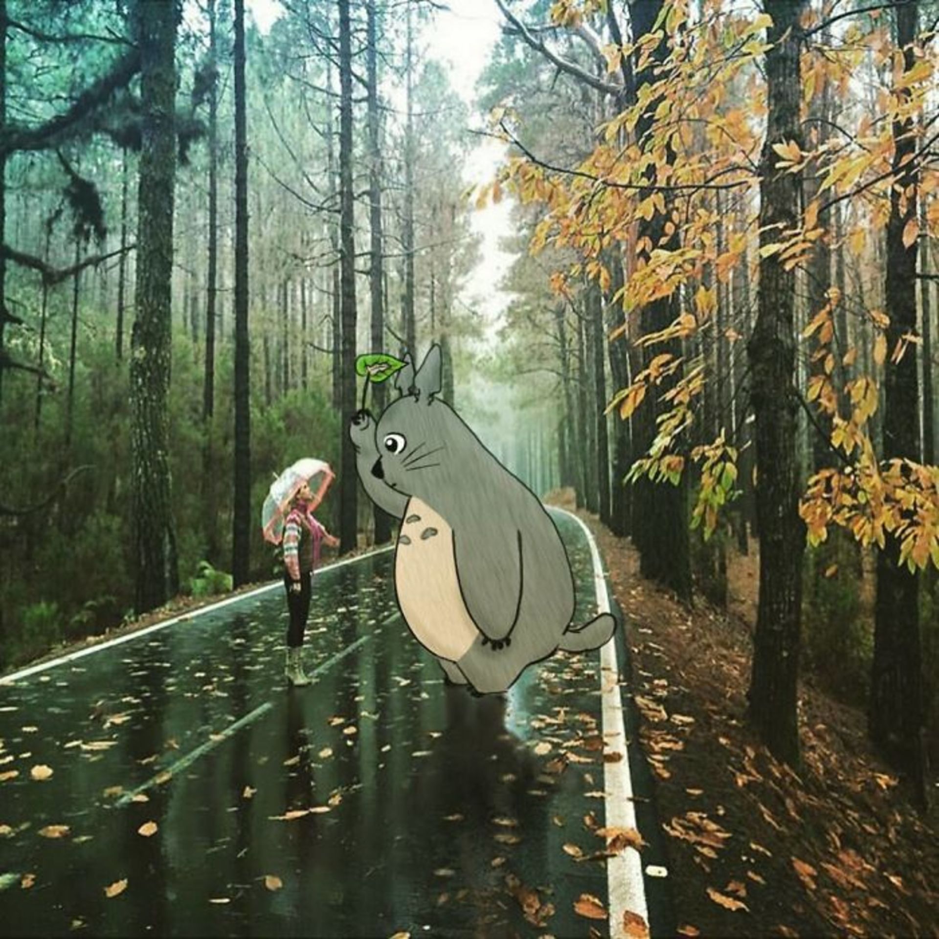 تصویرسازی روی عکس‌های واقعی