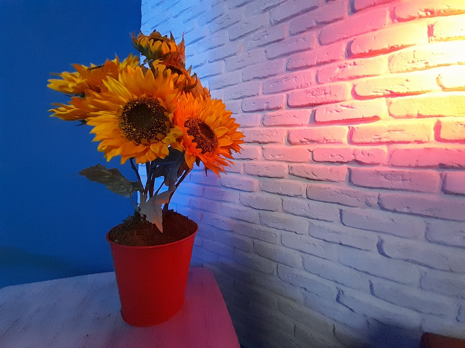 عکس فوتو مد دوربین اولتراواید گلکسی A13 در شرایط کم‌نور