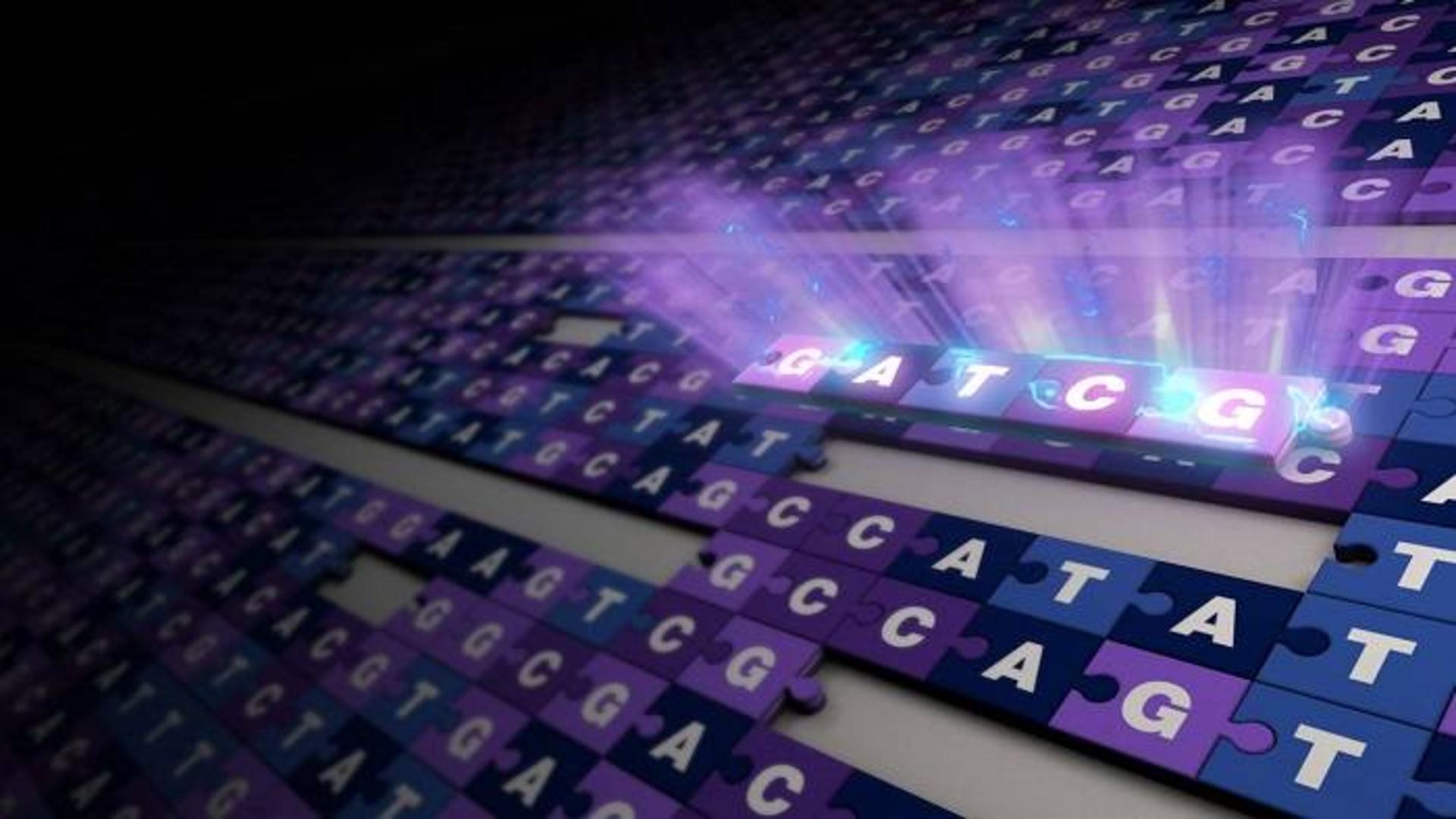 ژنوم / genome