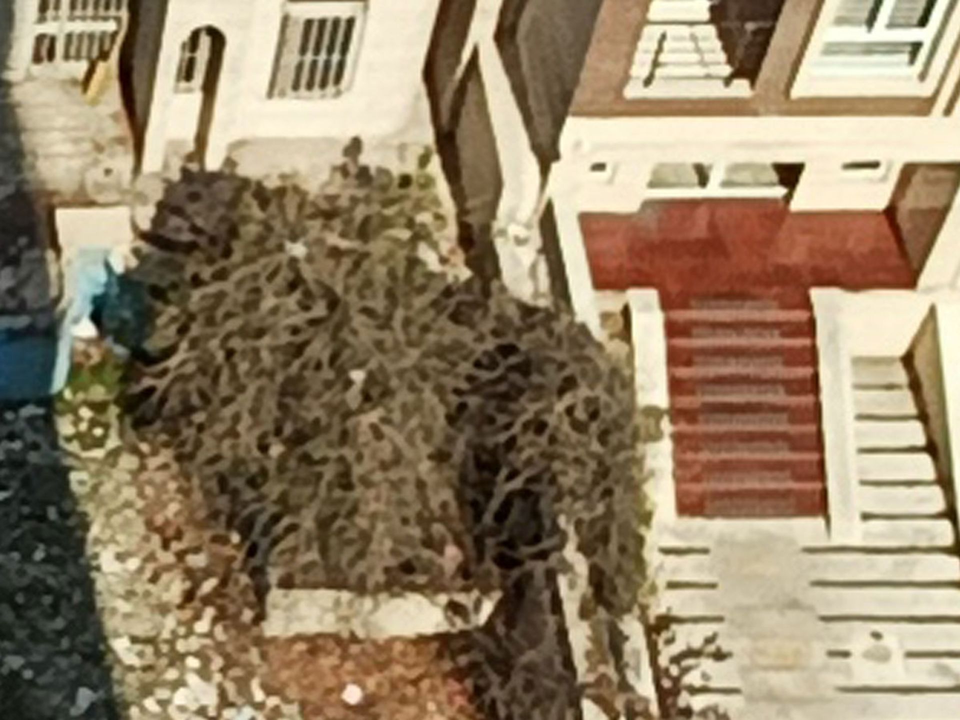 رنگ‌ها و جزئیات در برش واقعی عکس دوربین اولتراواید شاهین ۳