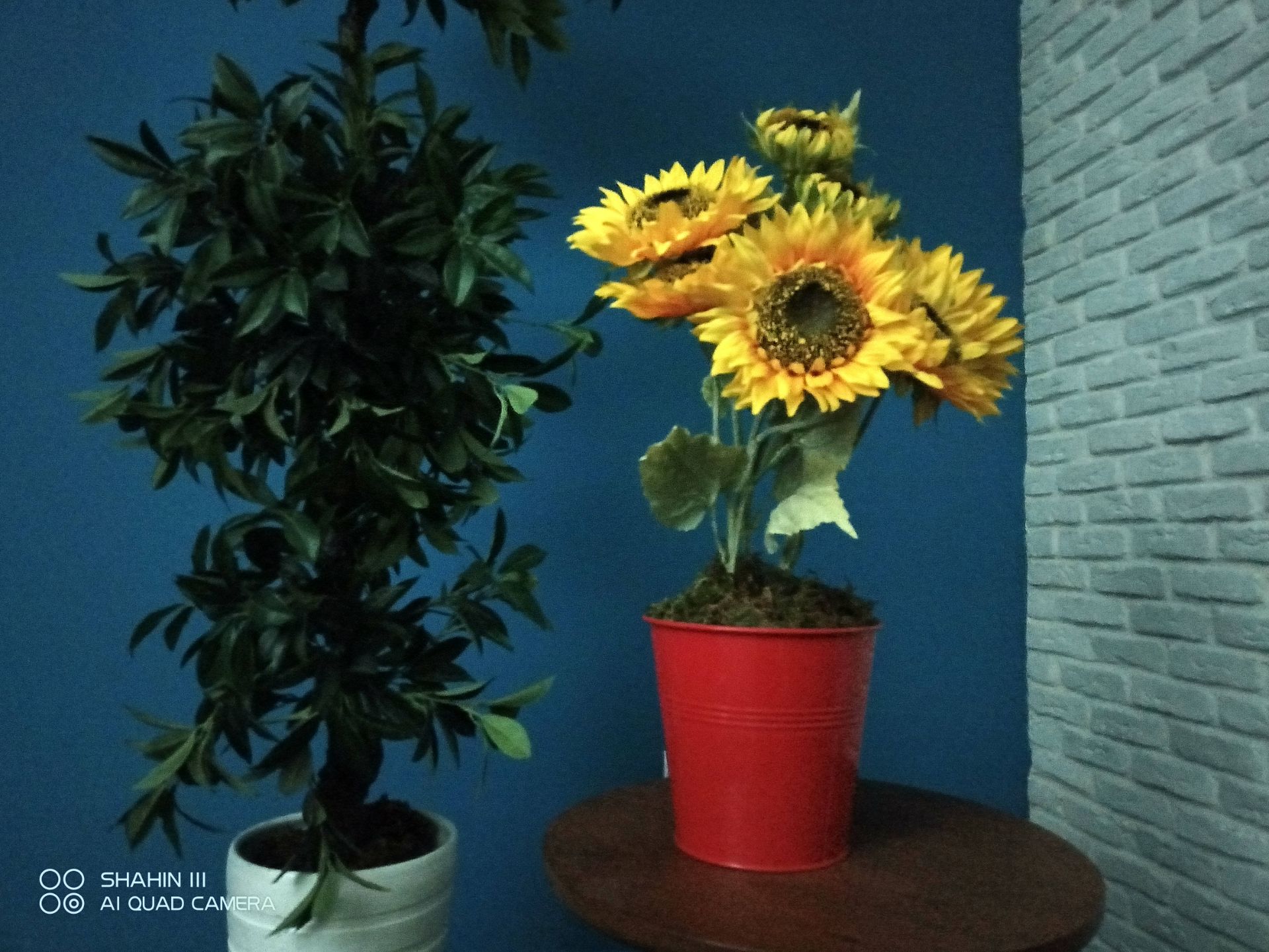 عکس دوربین اصلی شاهین ۳ در حالت Night