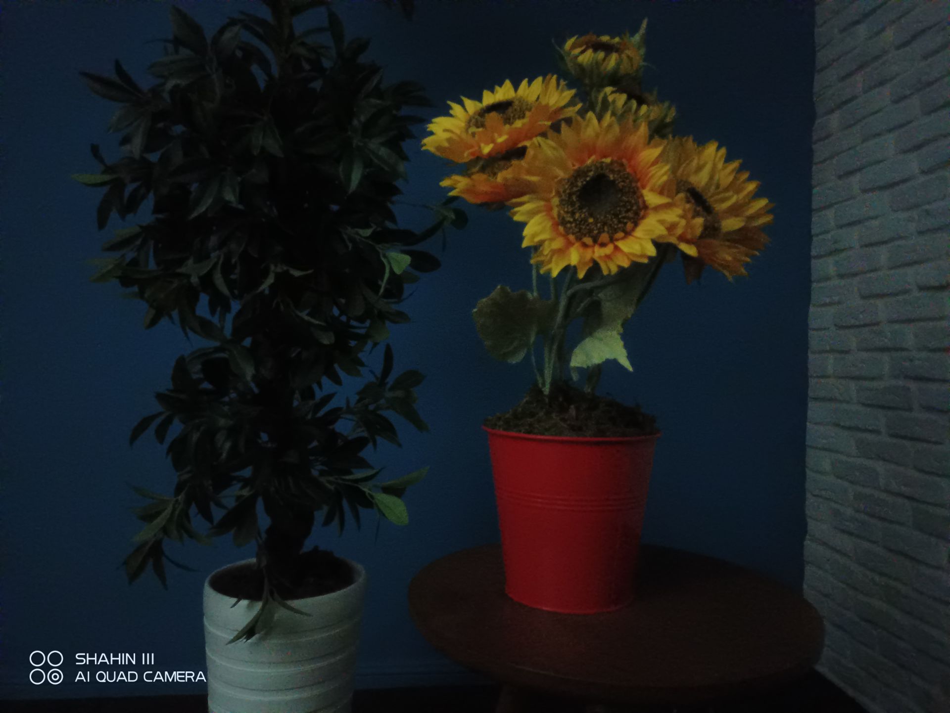 عکس دوربین اصلی شاهین ۳ در حالت فوتو