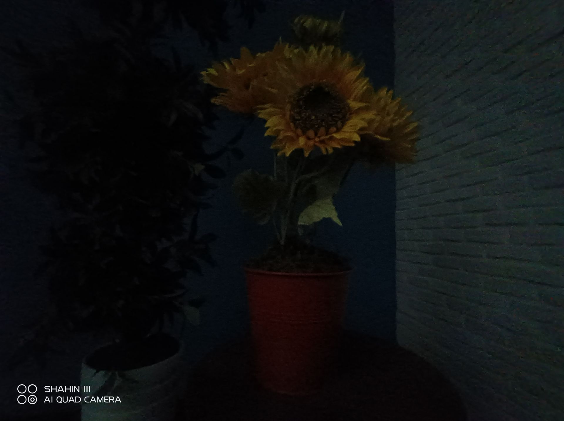 عکس دوربین اولتراواید شاهین ۳ در حالت فوتو