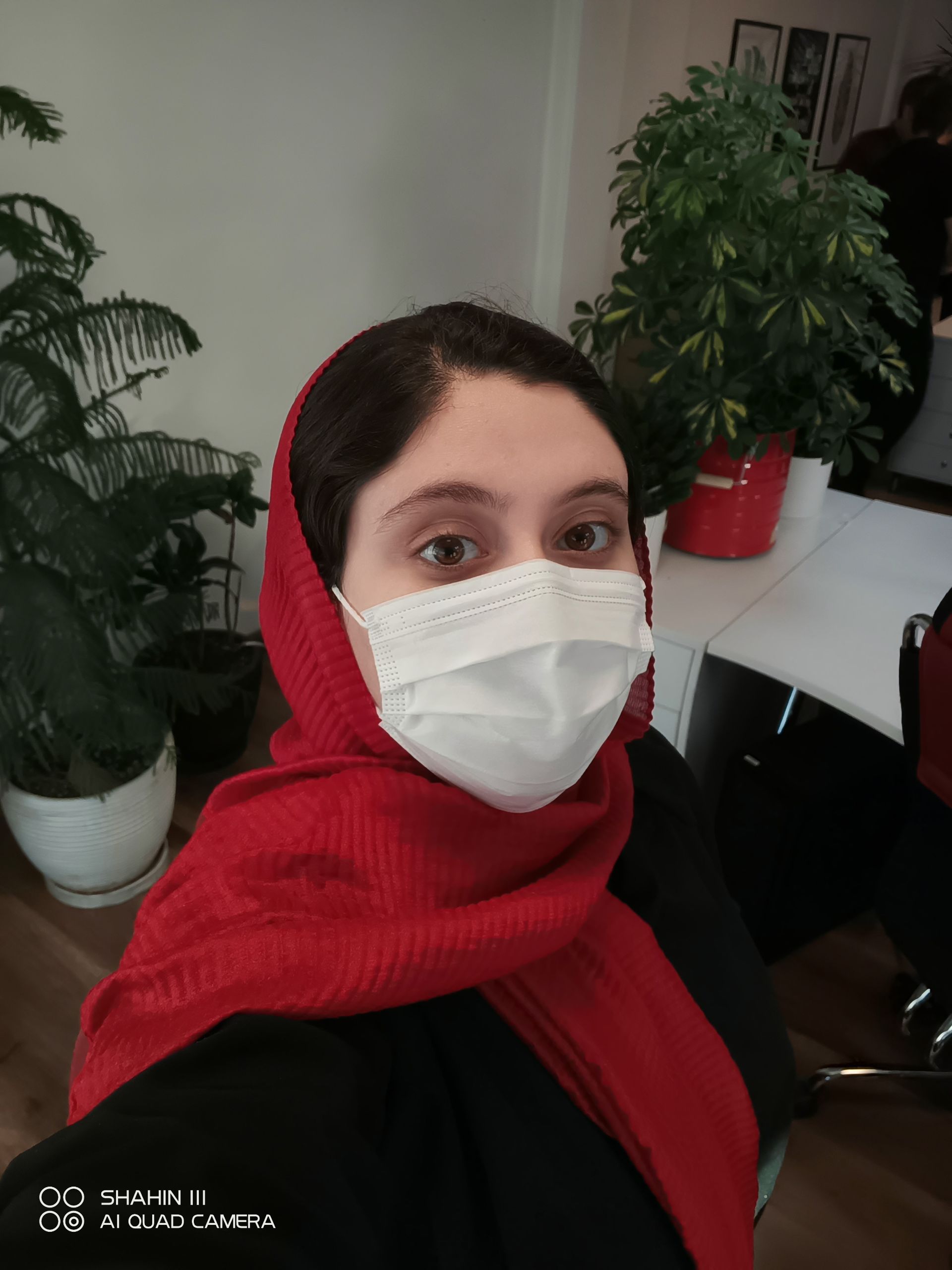 عکس سلفی با شاهین ۳