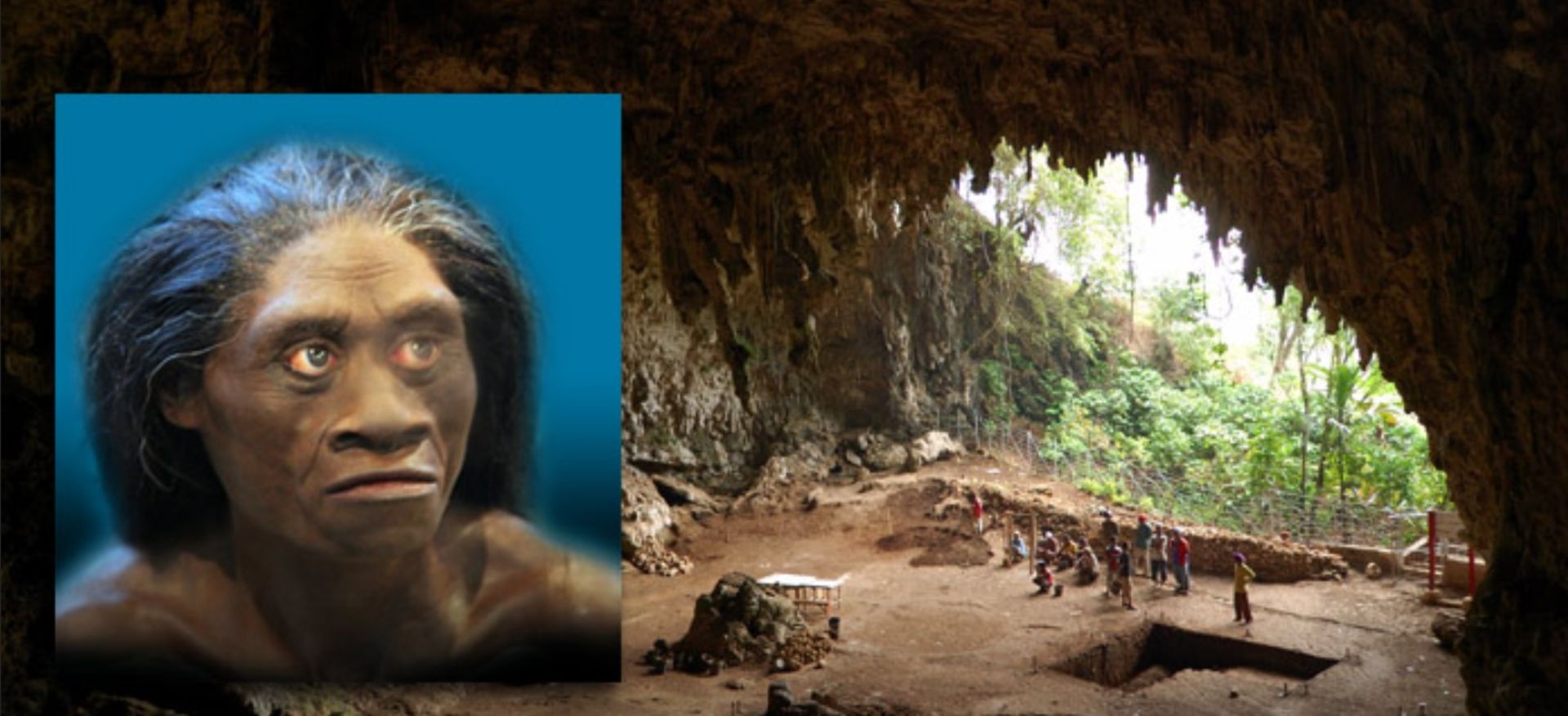 هومو فلورسین انسان تباران شبیه به هابیت ها