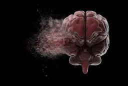 راز مغز؛ چگونه پیچیده‌ترین عضو بدن با وجود از دست‌دادن بخشی از خود، عملکردش را حفظ می‌کند؟