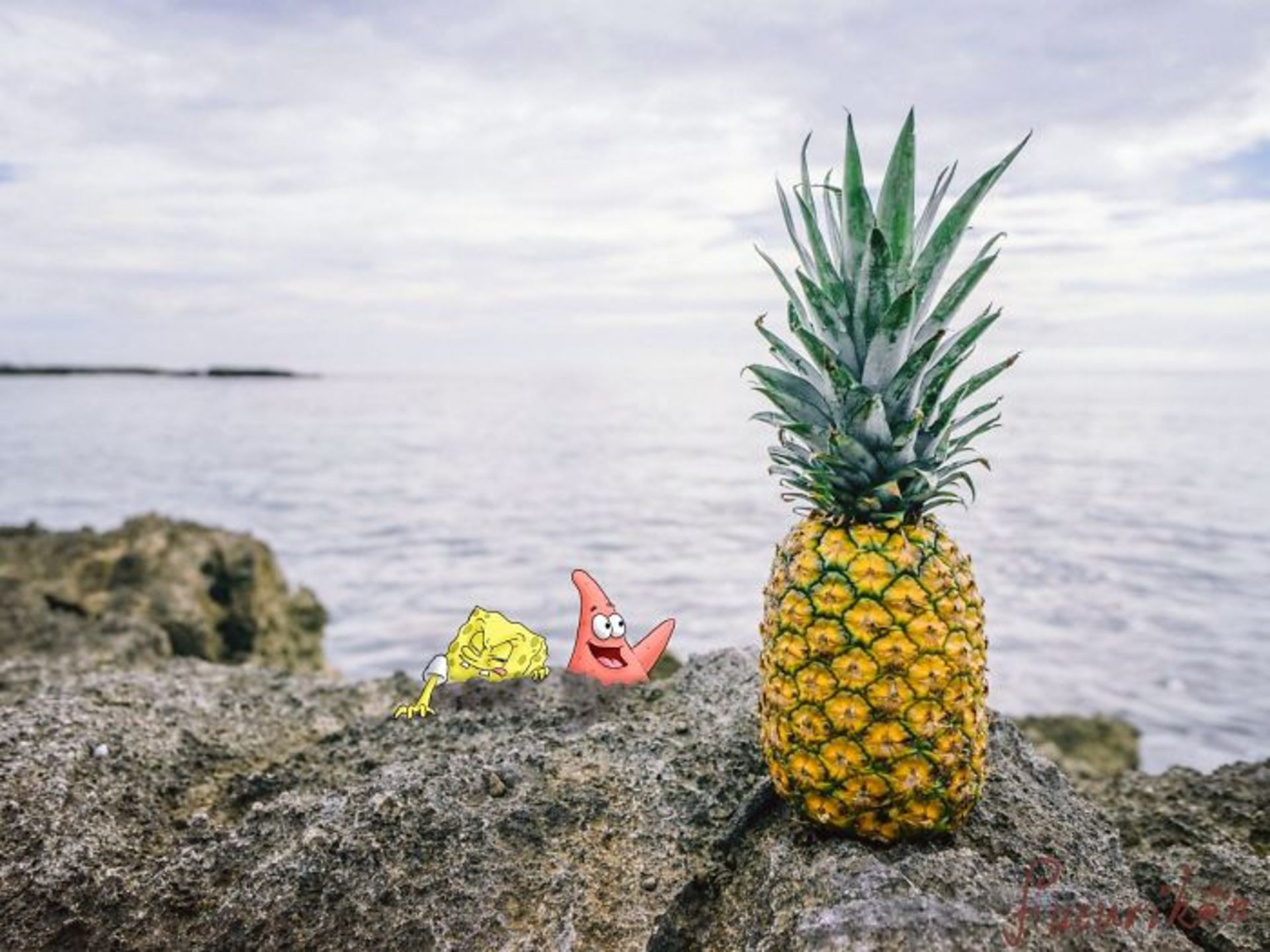 تصویرسازی روی عکس‌های واقعی