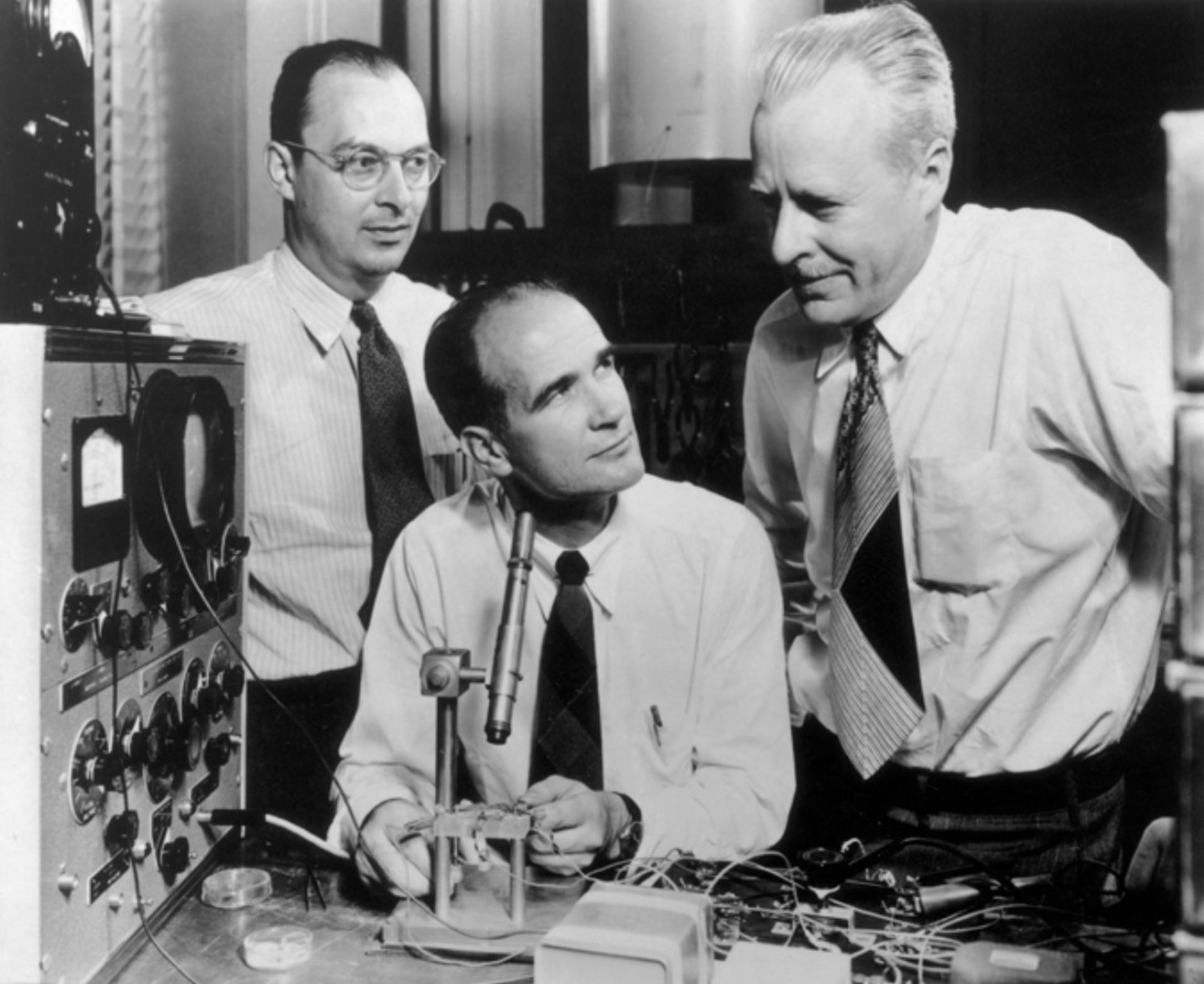 جان باردین شاکلی والتر مخترع ترانزیستور