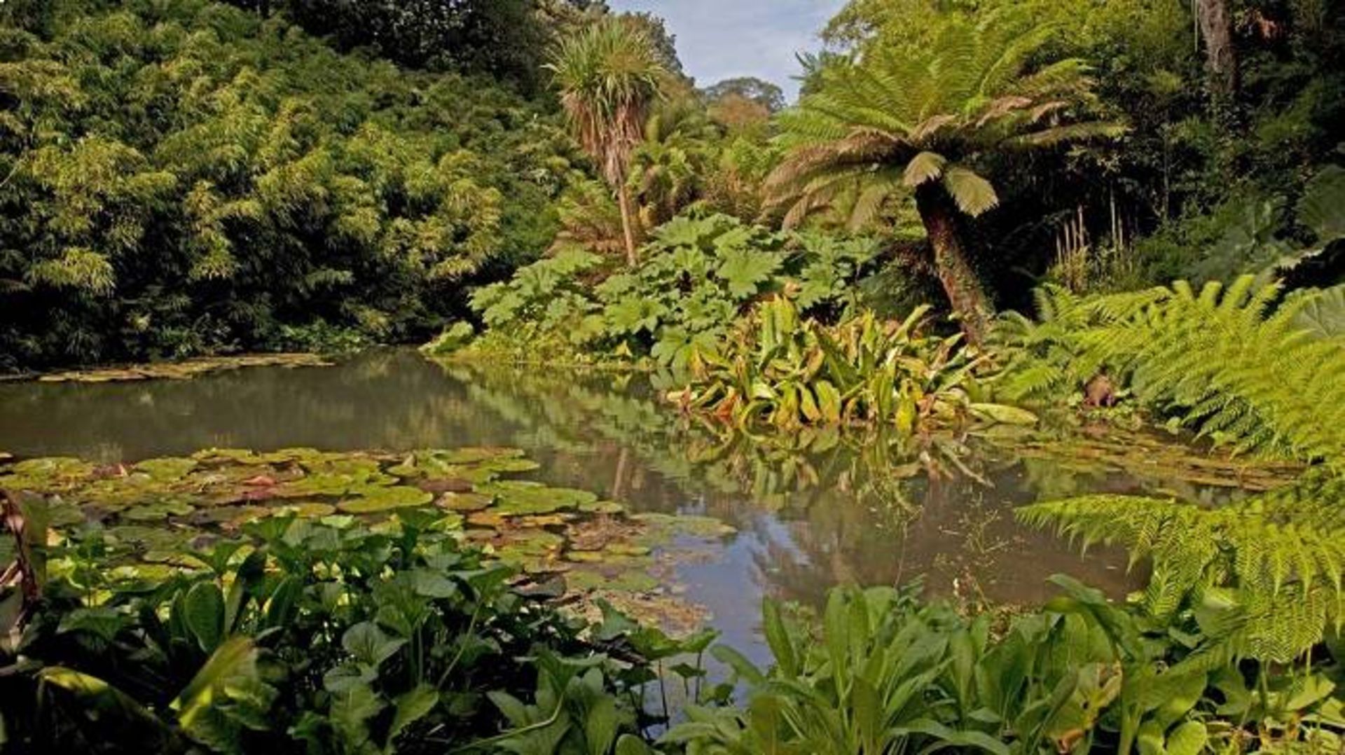 باغ هلیگان / Lost Garden of Heligan 