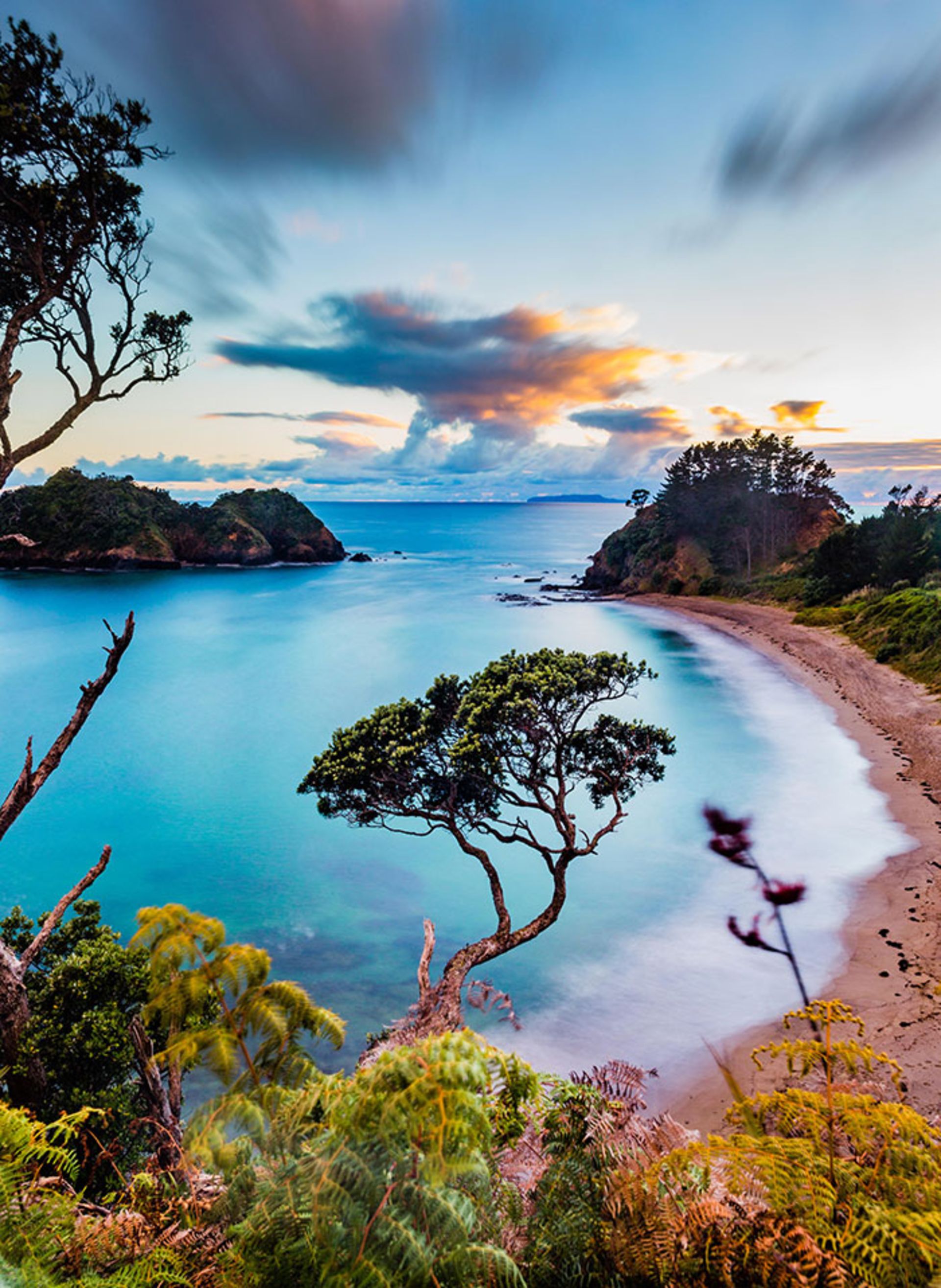 طبیعت نیوزیلند-
