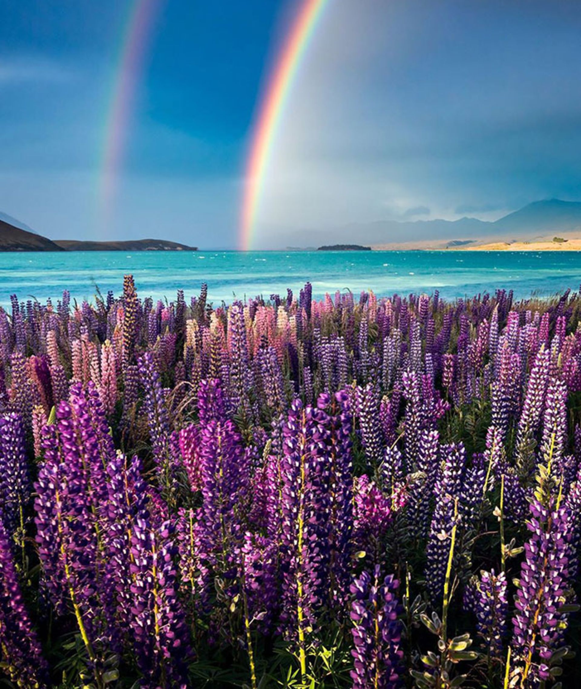 طبیعت نیوزیلند-