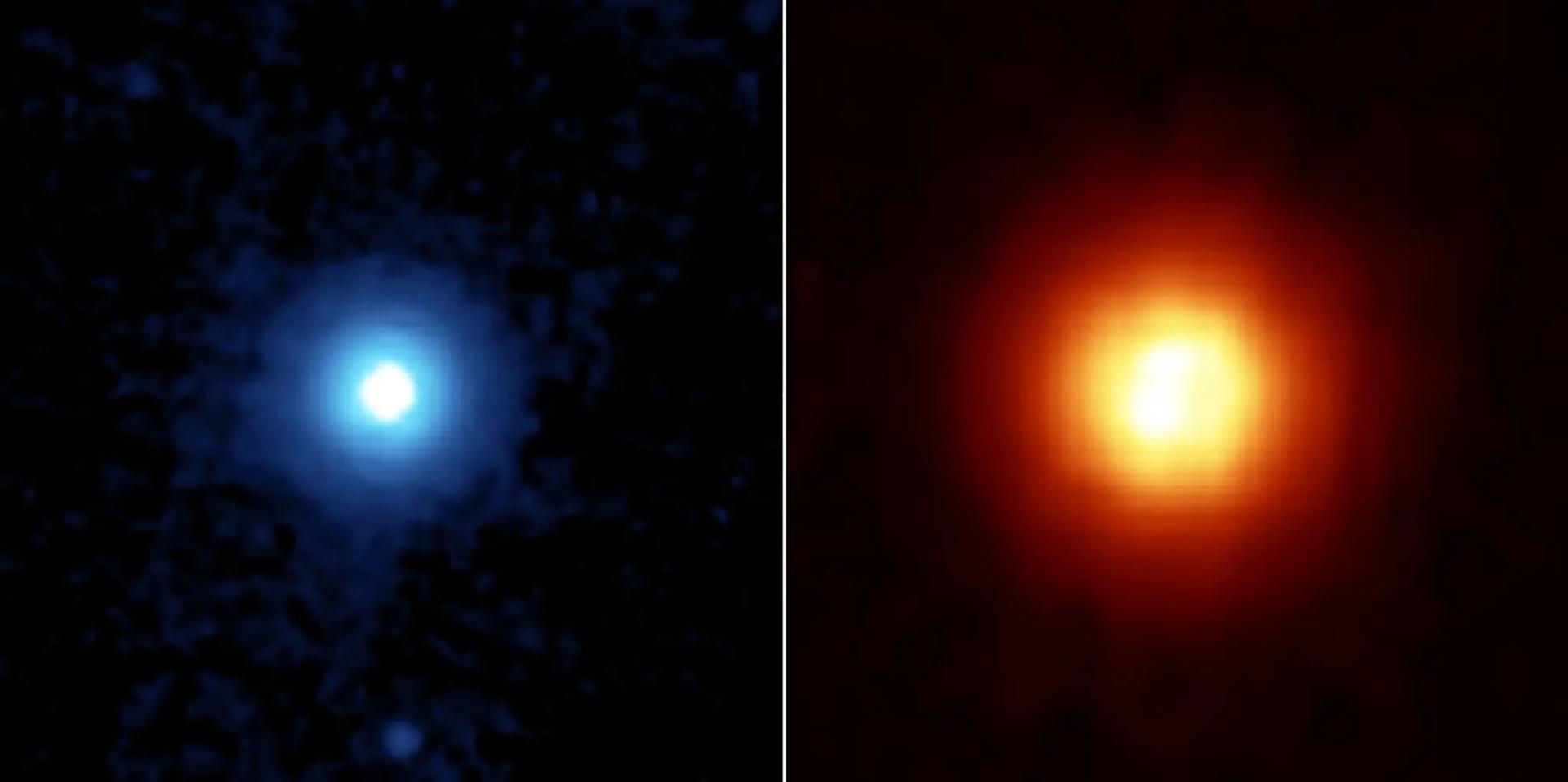 ستاره Vega