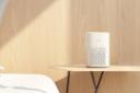 اسپیکر شیائومی Xiaomi XiaoAI Speaker Play LX05 روی میز
