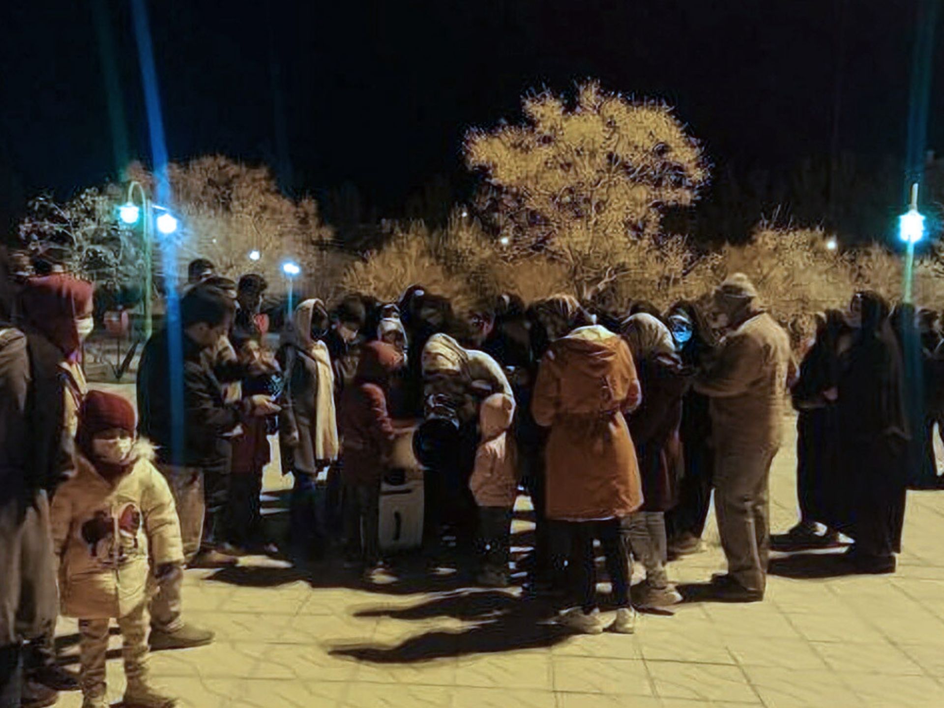 تصاویر انجمن بردسکن