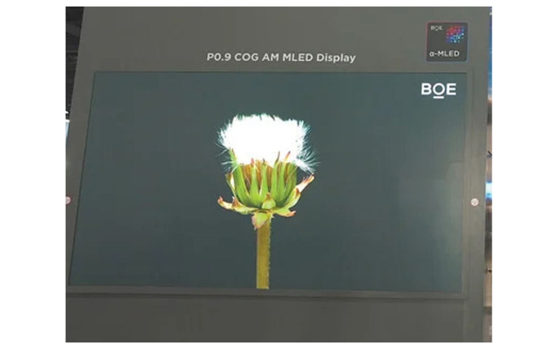 شرکت تولیدکننده نمایشگر BOE