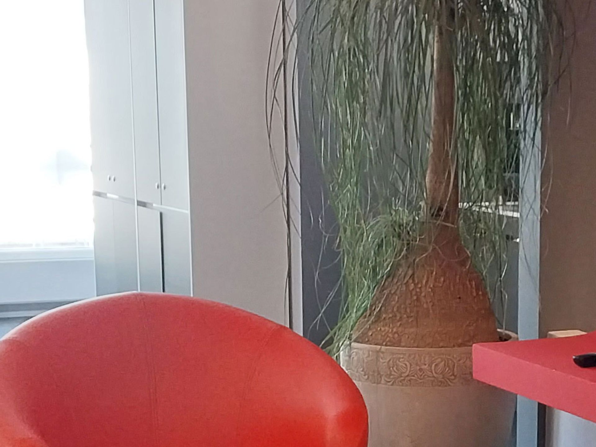 گستره دینامیکی در برش عکس دوربین اصلی گلکسی A23