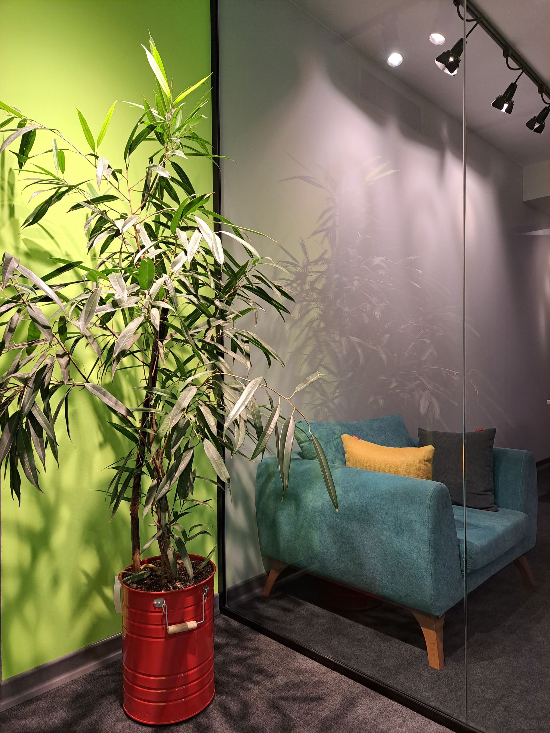 عکس دوربین گلکسی ای ۵۳