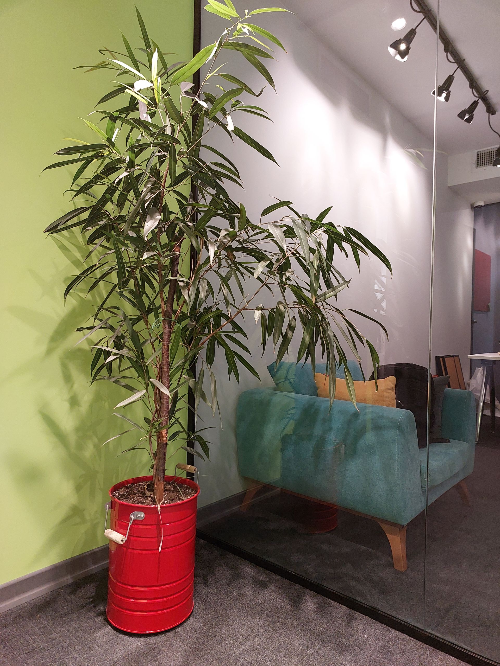 عکس گلکسی ای ۷۳ - ۲