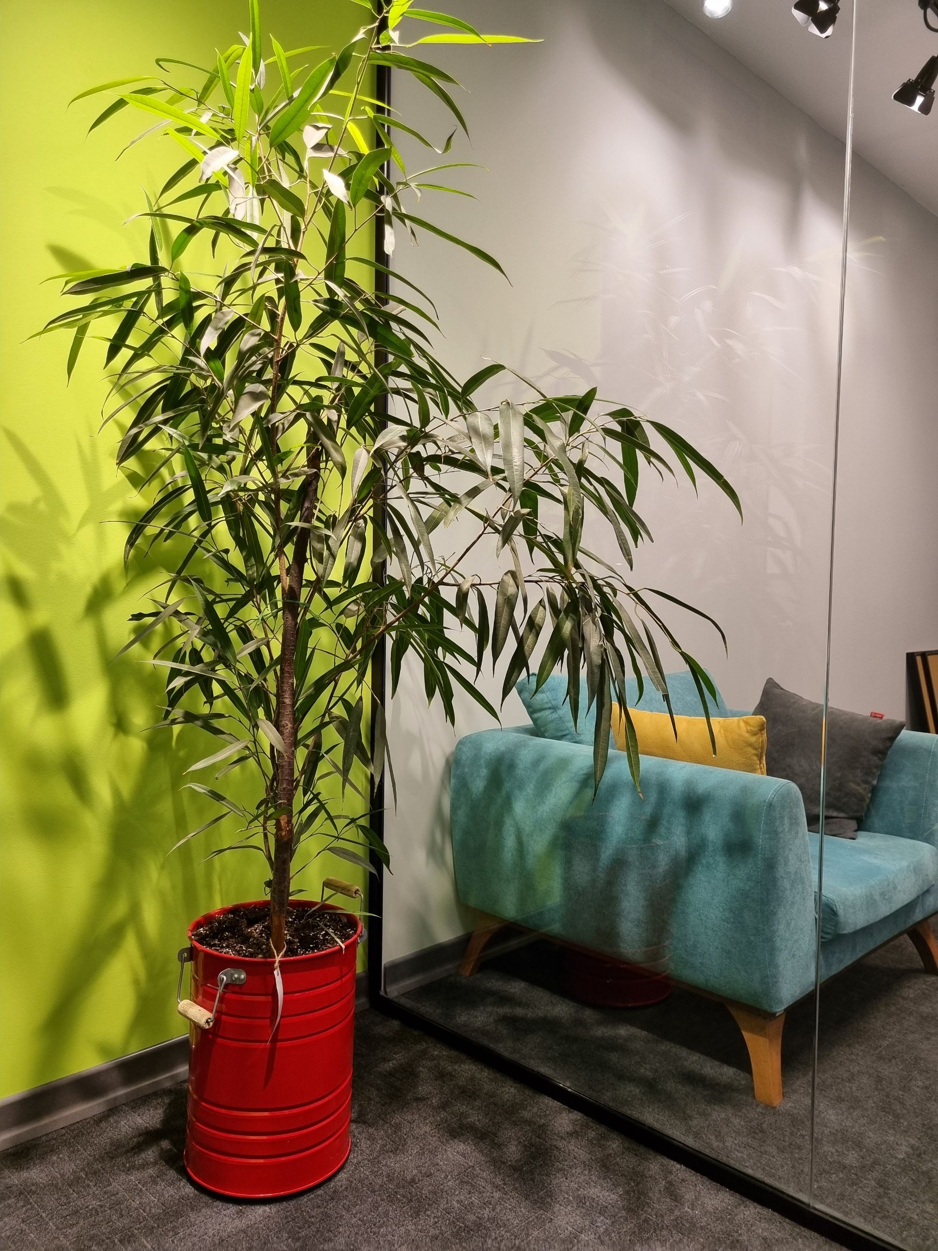 رنگ‌ها و گستره دینامیکی در عکس دوربین اصلی گلکسی S21 FE