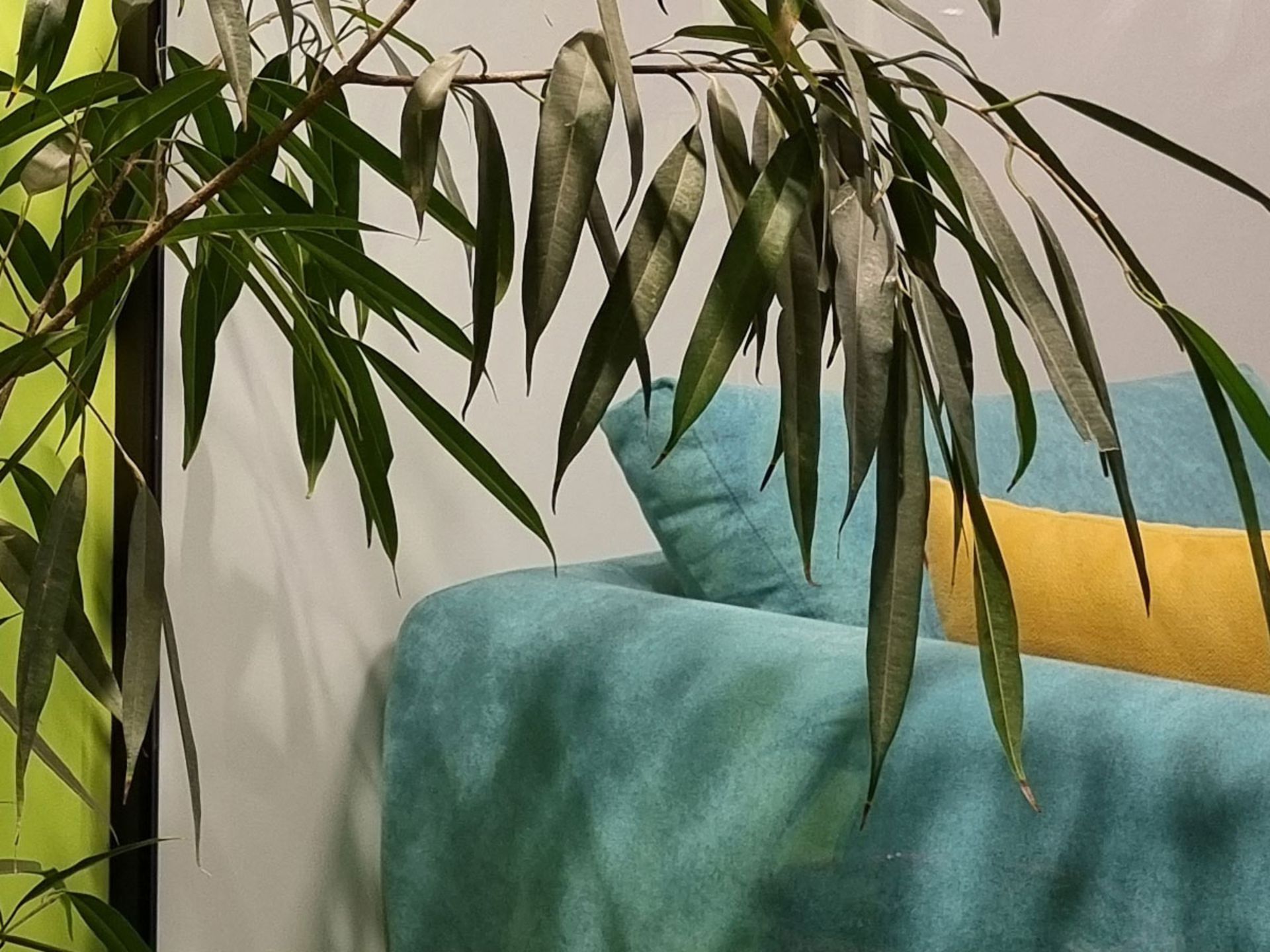 رنگ‌ها و گستره دینامیکی در عکس دوربین اصلی گلکسی S21 FE